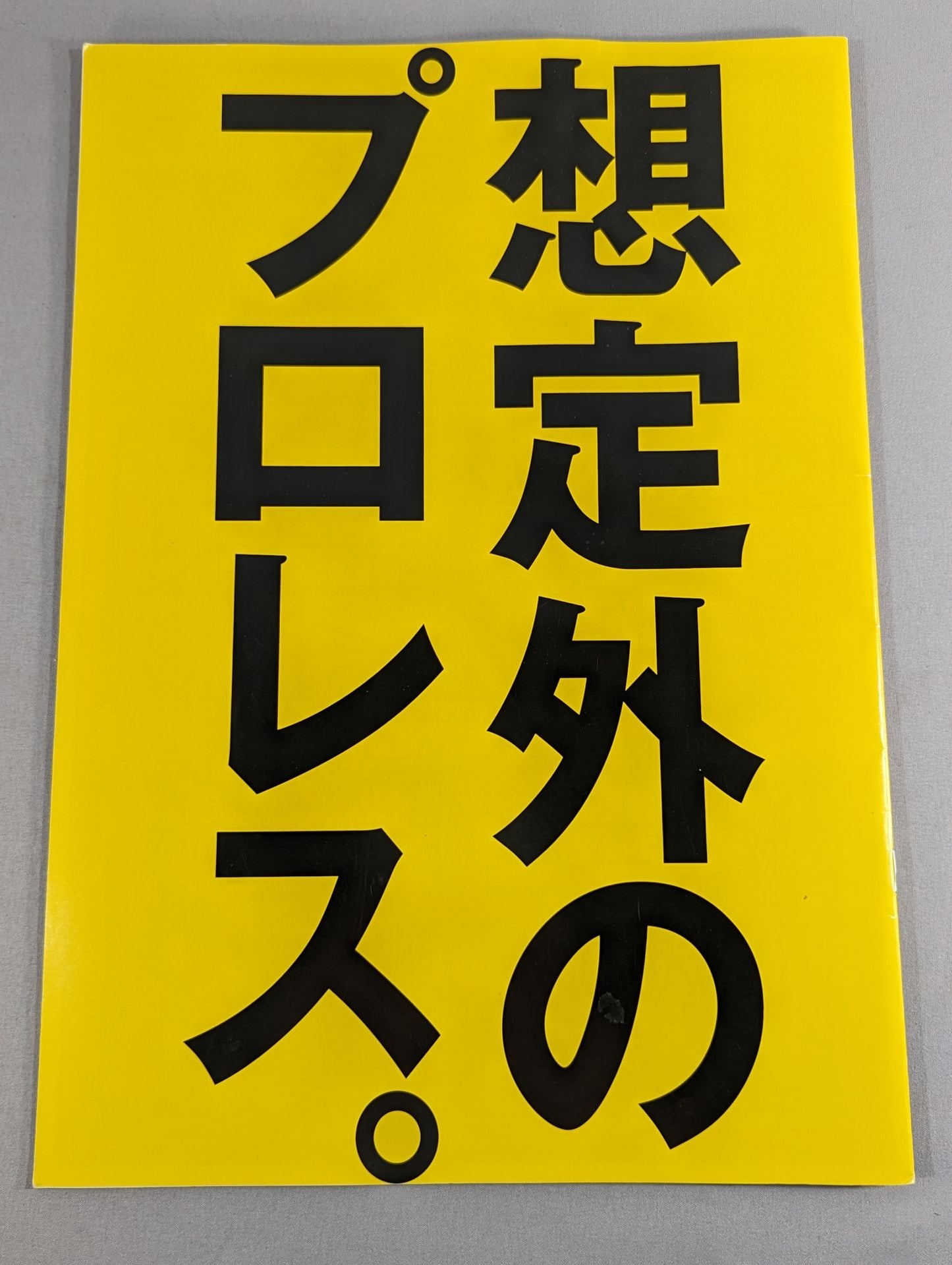 ★想定外のプロレス 旗揚げ戦★ dragondoor