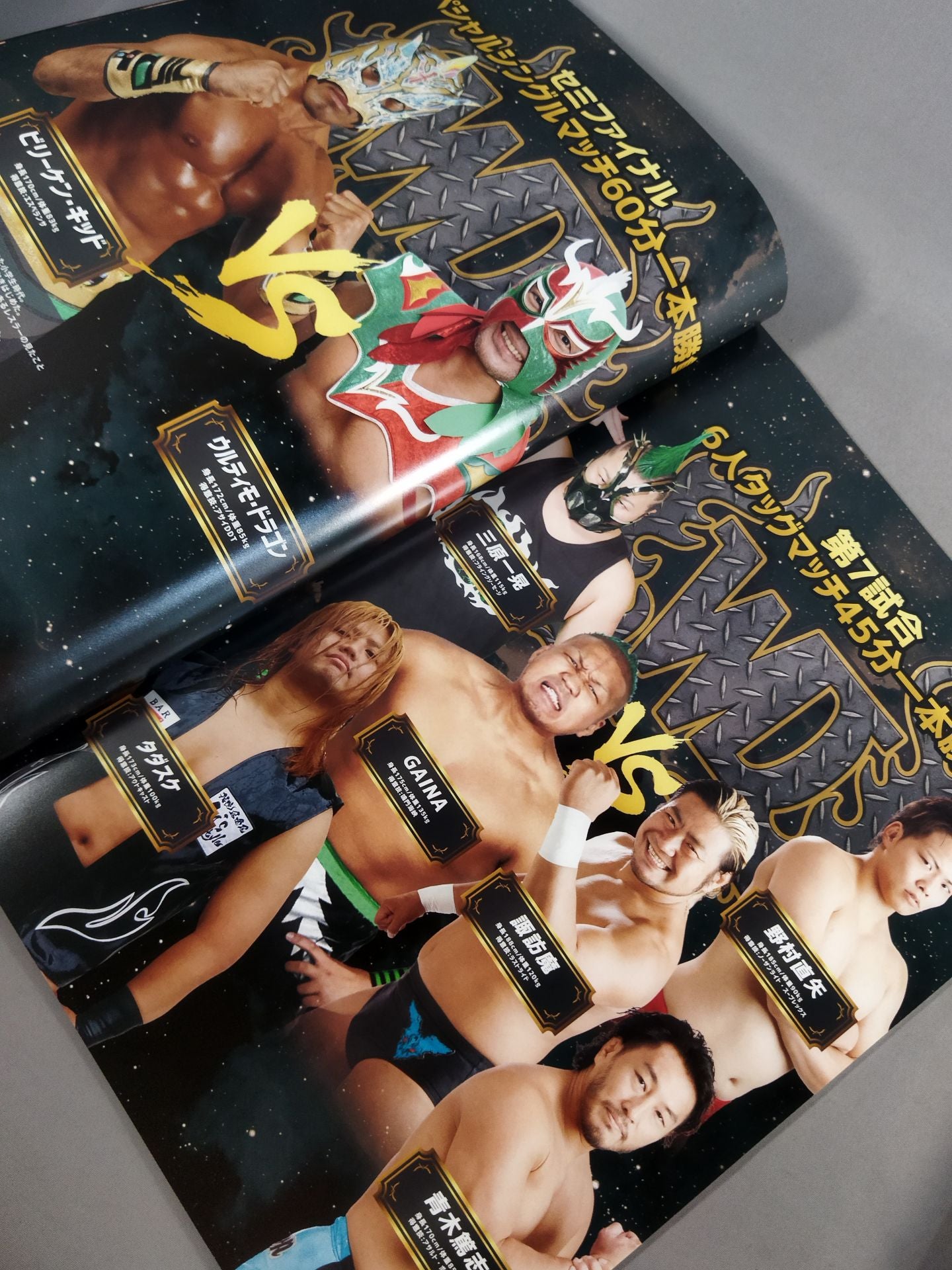 WRESTLE DREAM REALⅠ/ ネパール復興支援チャリティー興行