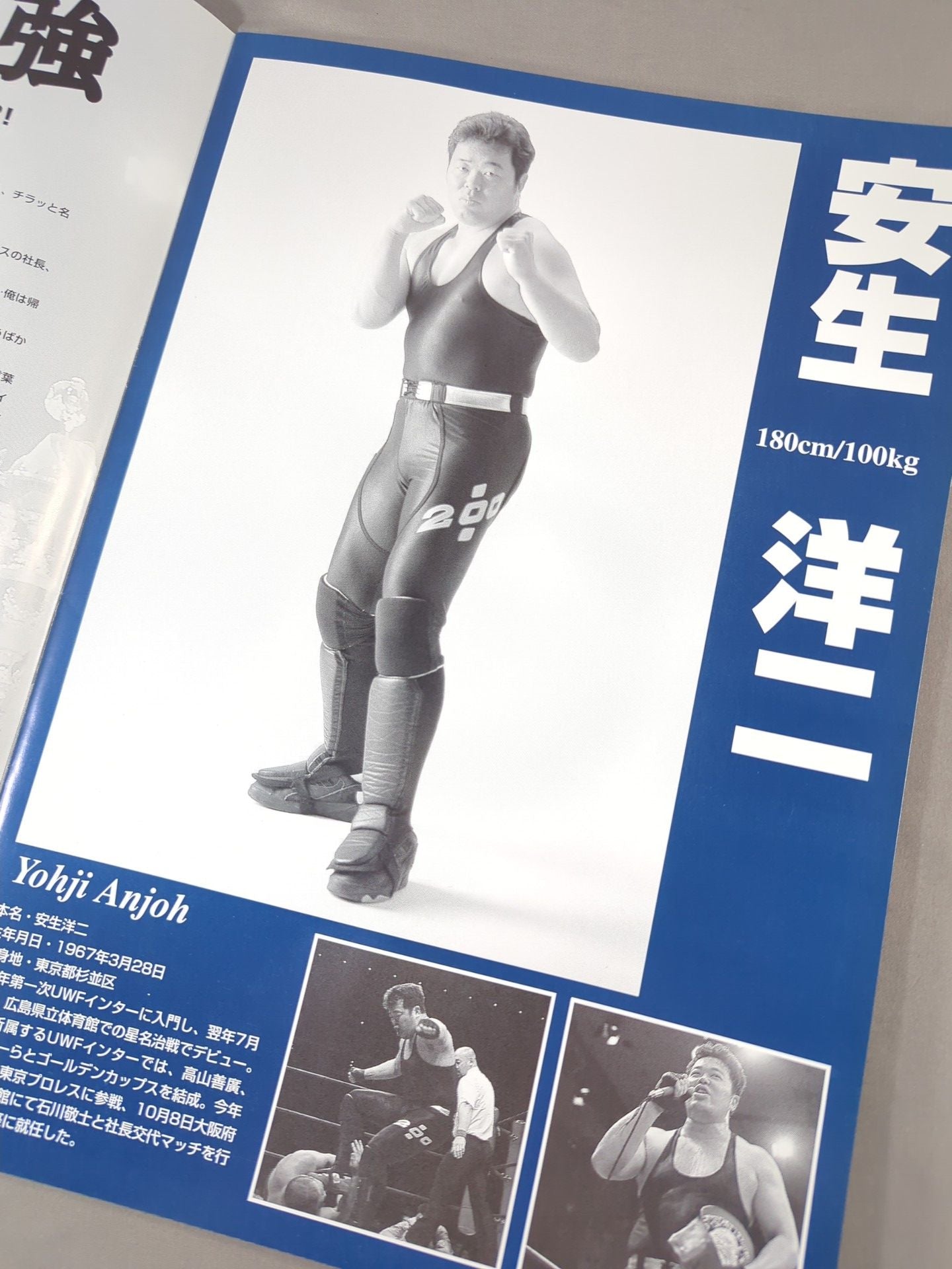 (新)東京プロレス 2周年記念特別興行 安生洋二社長就任パーティin国技館