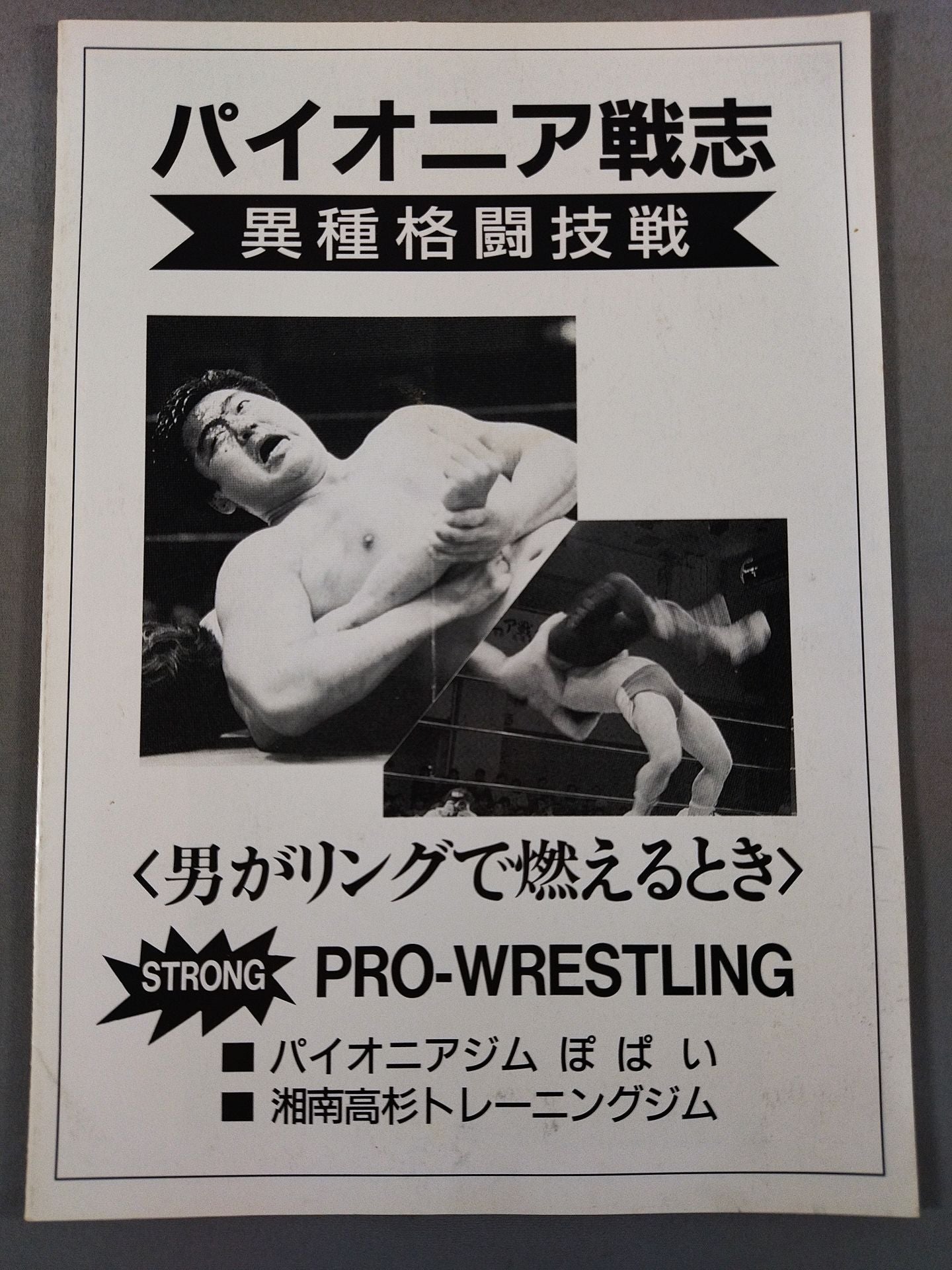 パイオニア戦志 異種格闘技戦