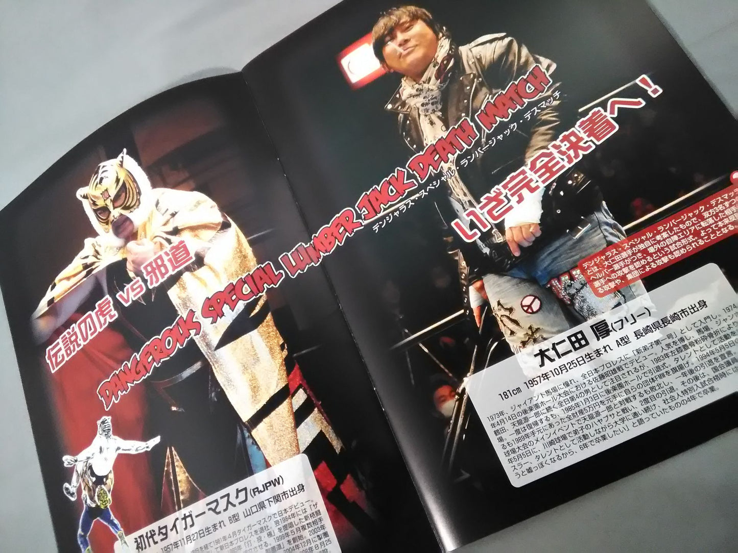 Real Japan Pro Wrestling Vol.17 / REAL FOR BATTLE