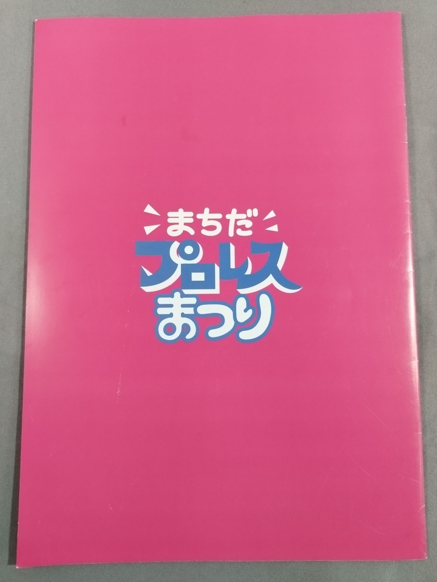 まちだプロレスまつり Vol.2 アツイぜ!まちだプロレスまつり!!!