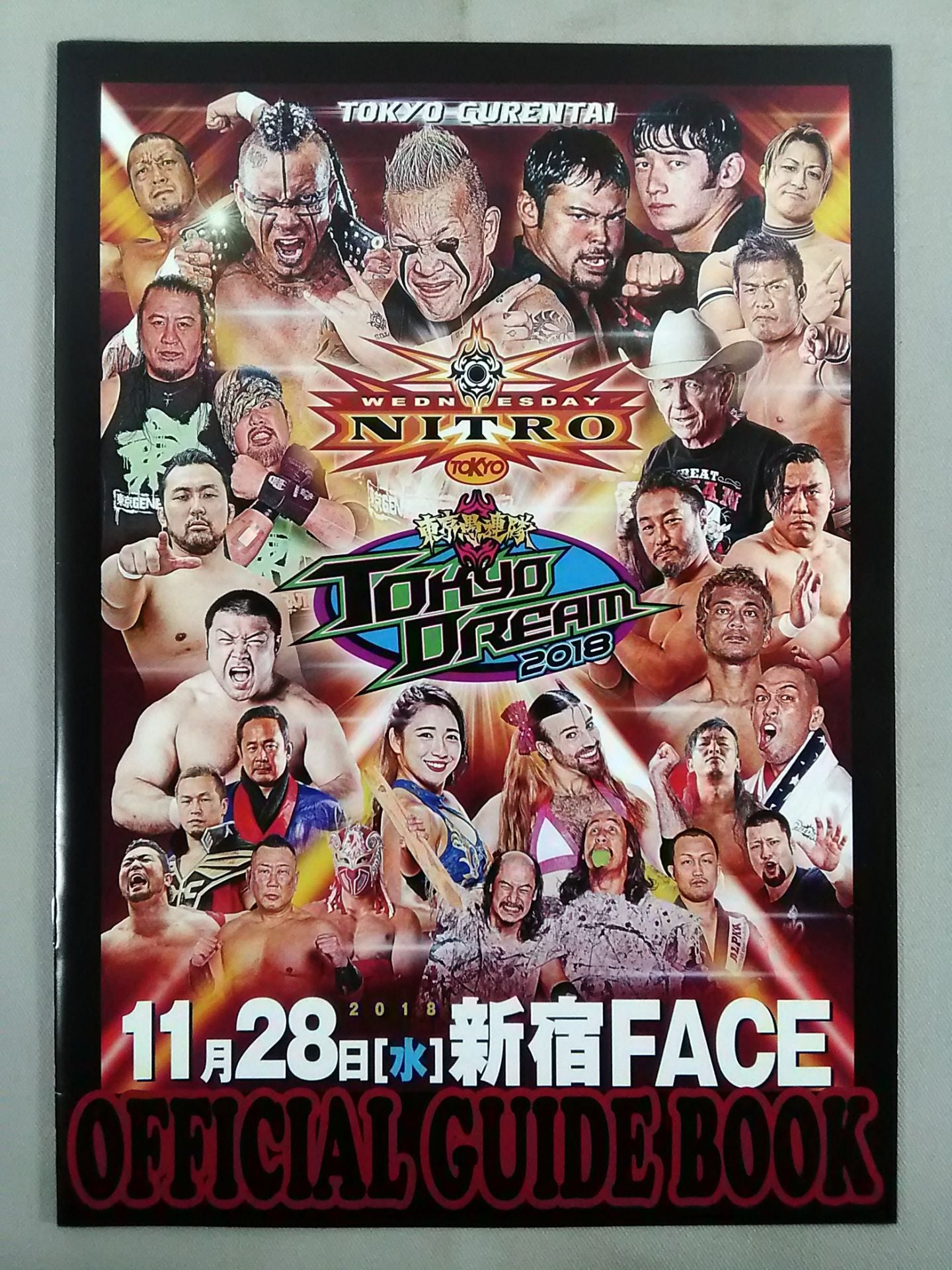 TOKYO DREAM 2018 東京愚連隊 OFFICIAL GUIDE BOOK