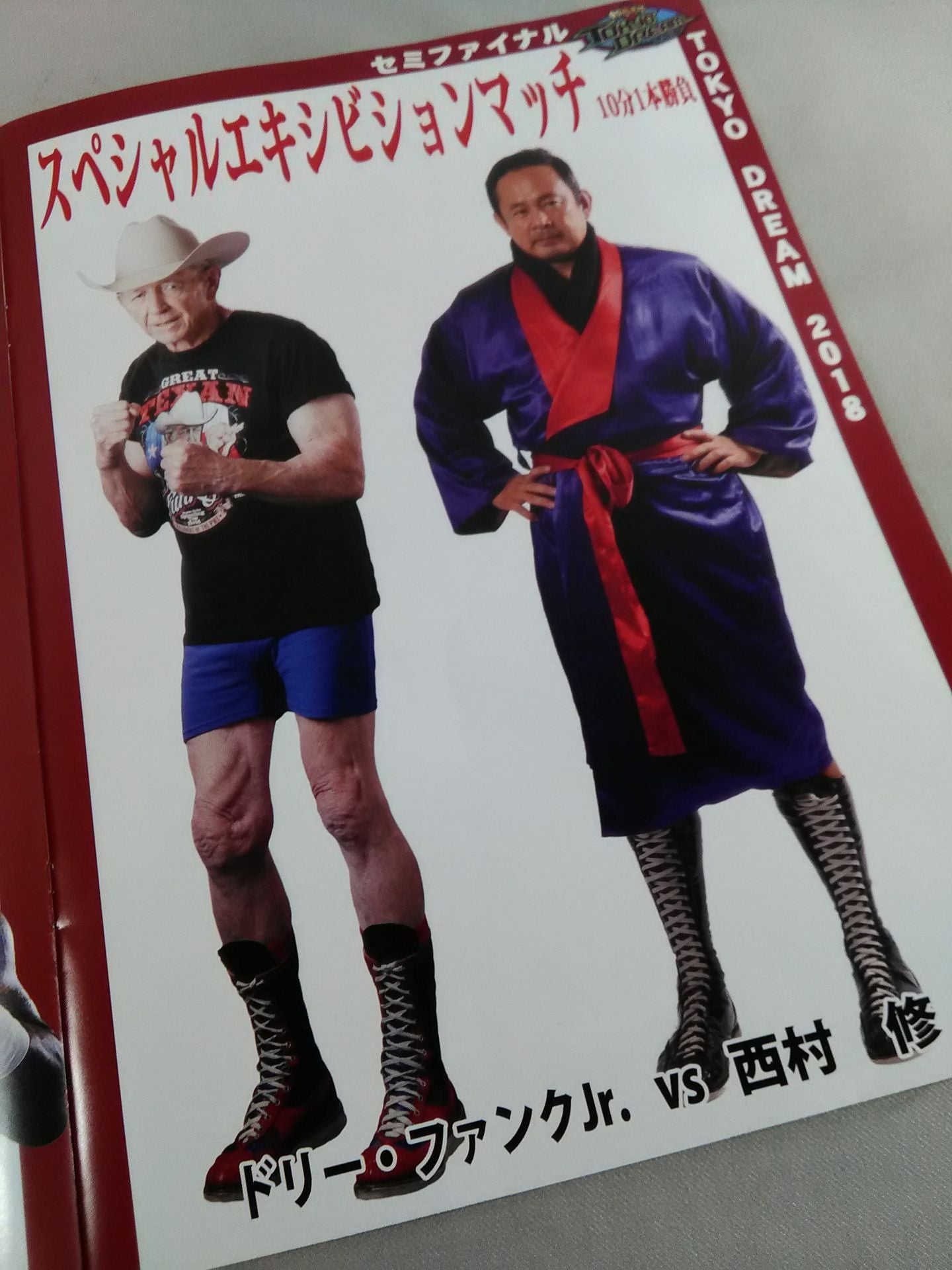 TOKYO DREAM 2018 東京愚連隊 OFFICIAL GUIDE BOOK