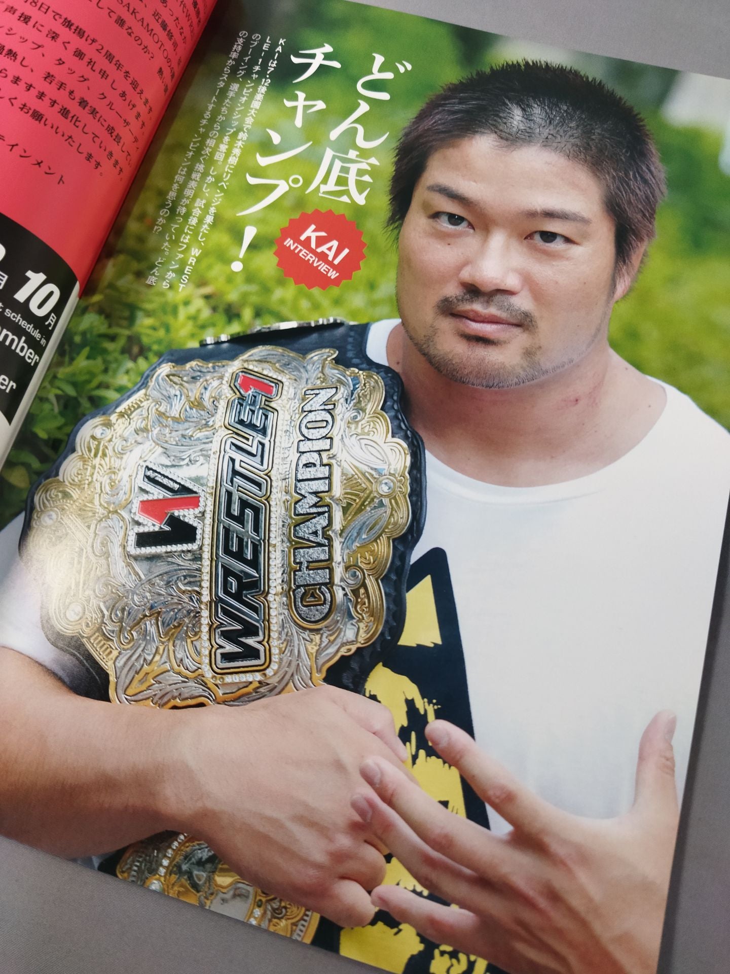 WRESTLE-1 OFFICIAL GUIDE BOOK 2015 No.4