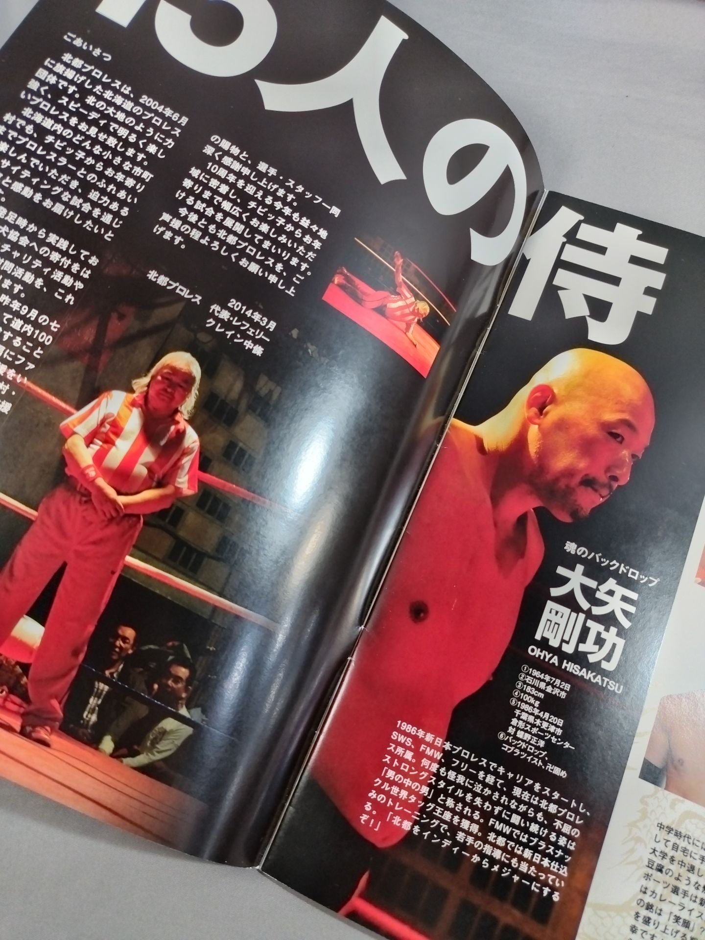 2014北都プロレス