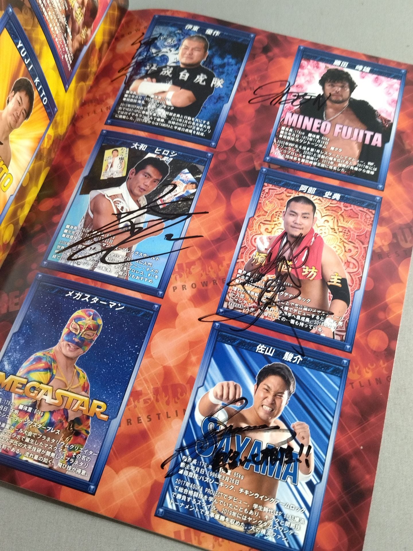 【20名直筆サイン入り・半券付】HEAT-UP PRO WRESTLING(2019)