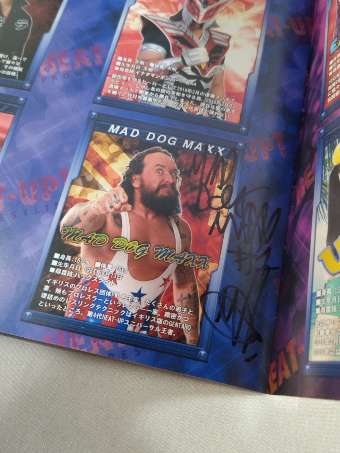 【20名直筆サイン入り・半券付】HEAT-UP PRO WRESTLING(2019)