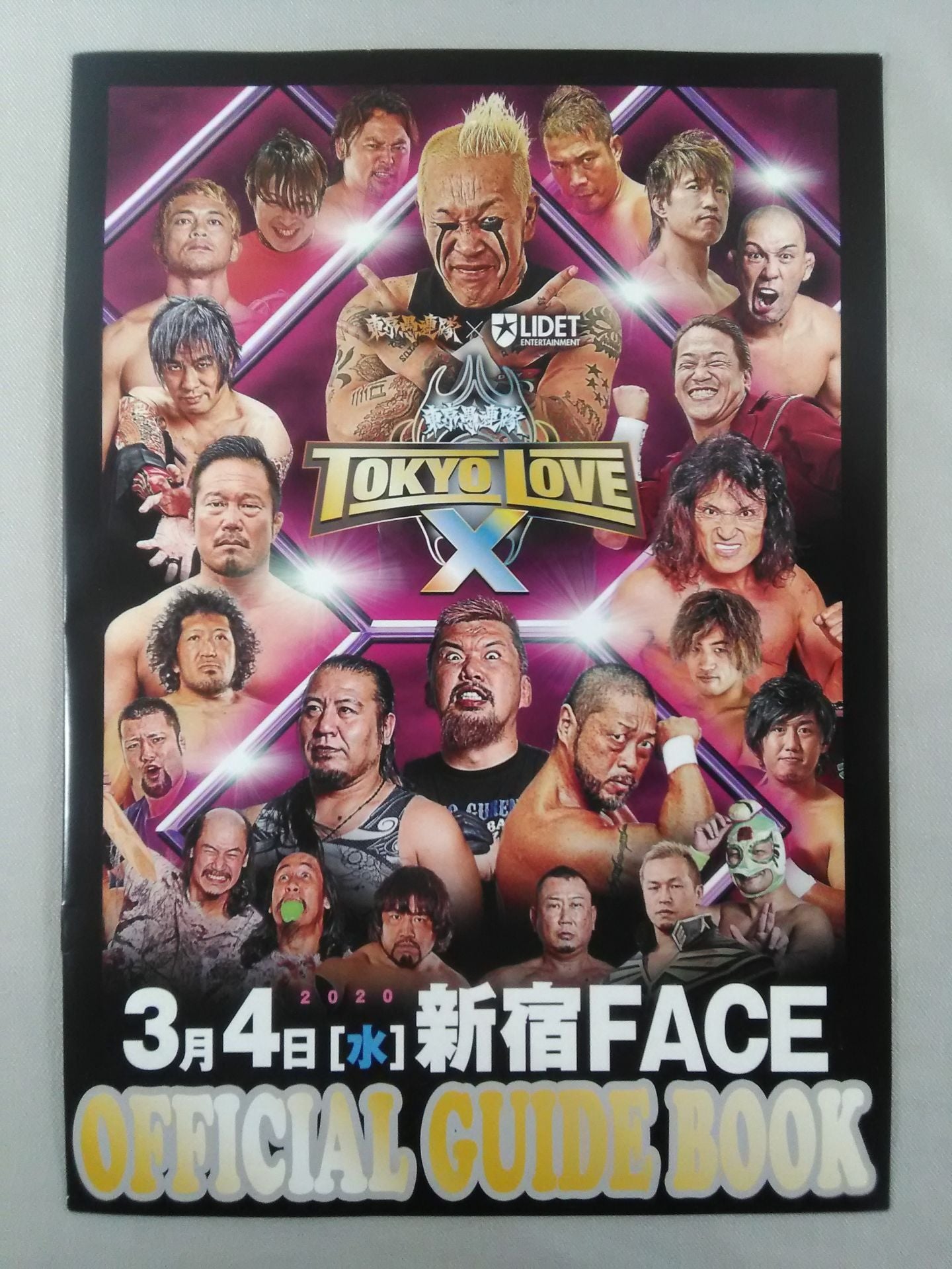 TOKYO LOVE Ⅹ 東京愚連隊 OFFICIAL GUIDE BOOK