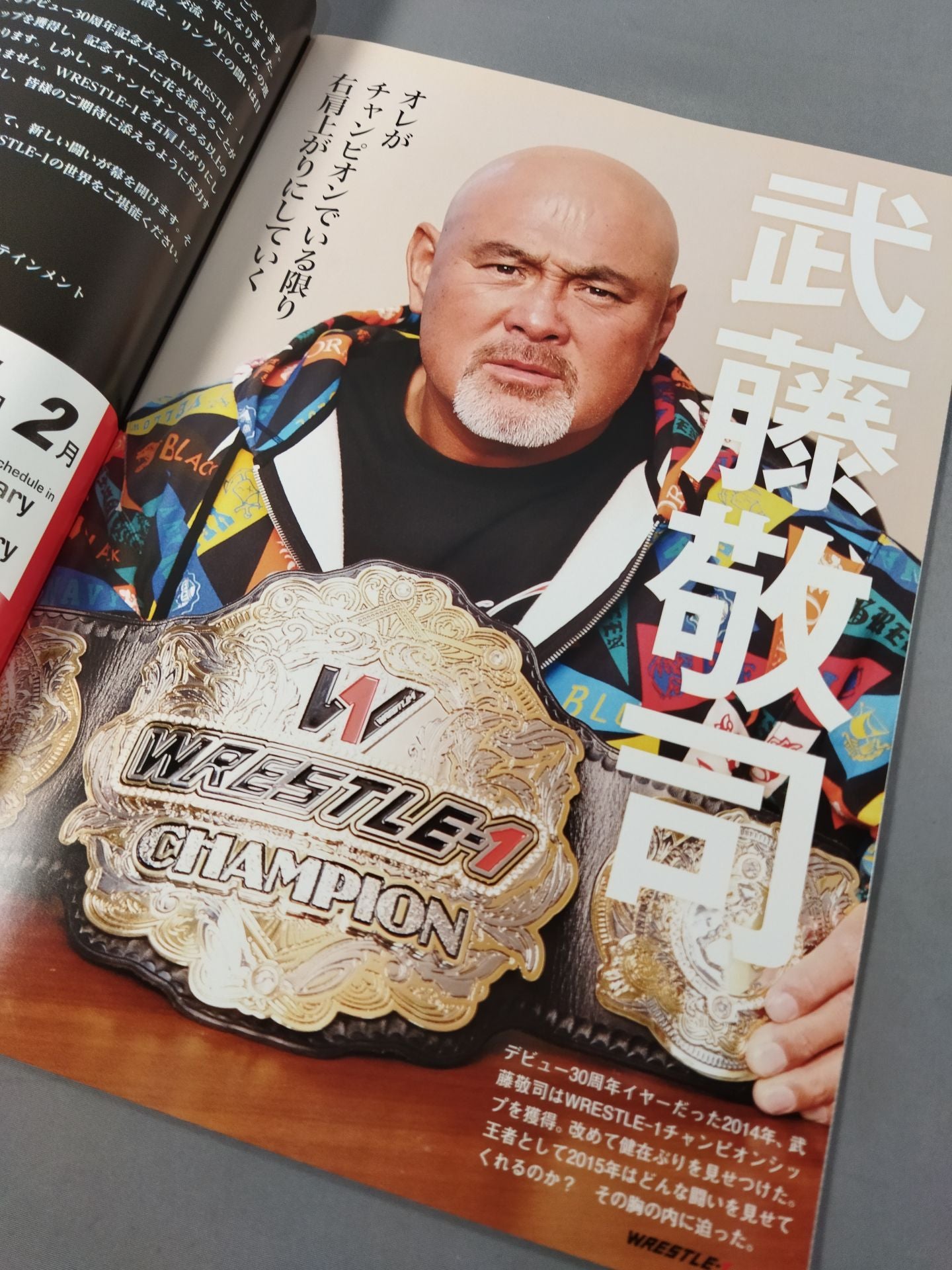 WRESTLE-1 OFFICIAL GUIDE BOOK 2015 No.1