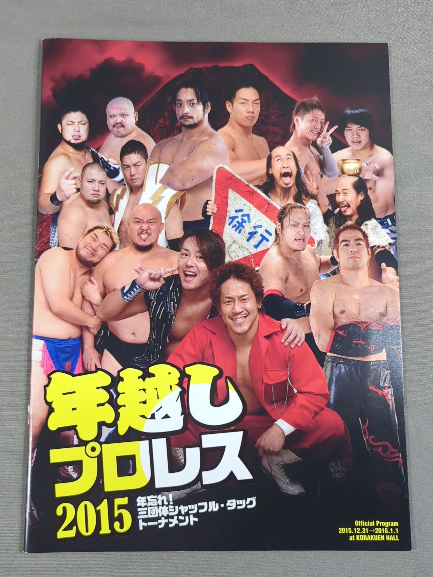 年越しプロレス2015 年忘れ!三団体シャッフル・タッグトーナメント