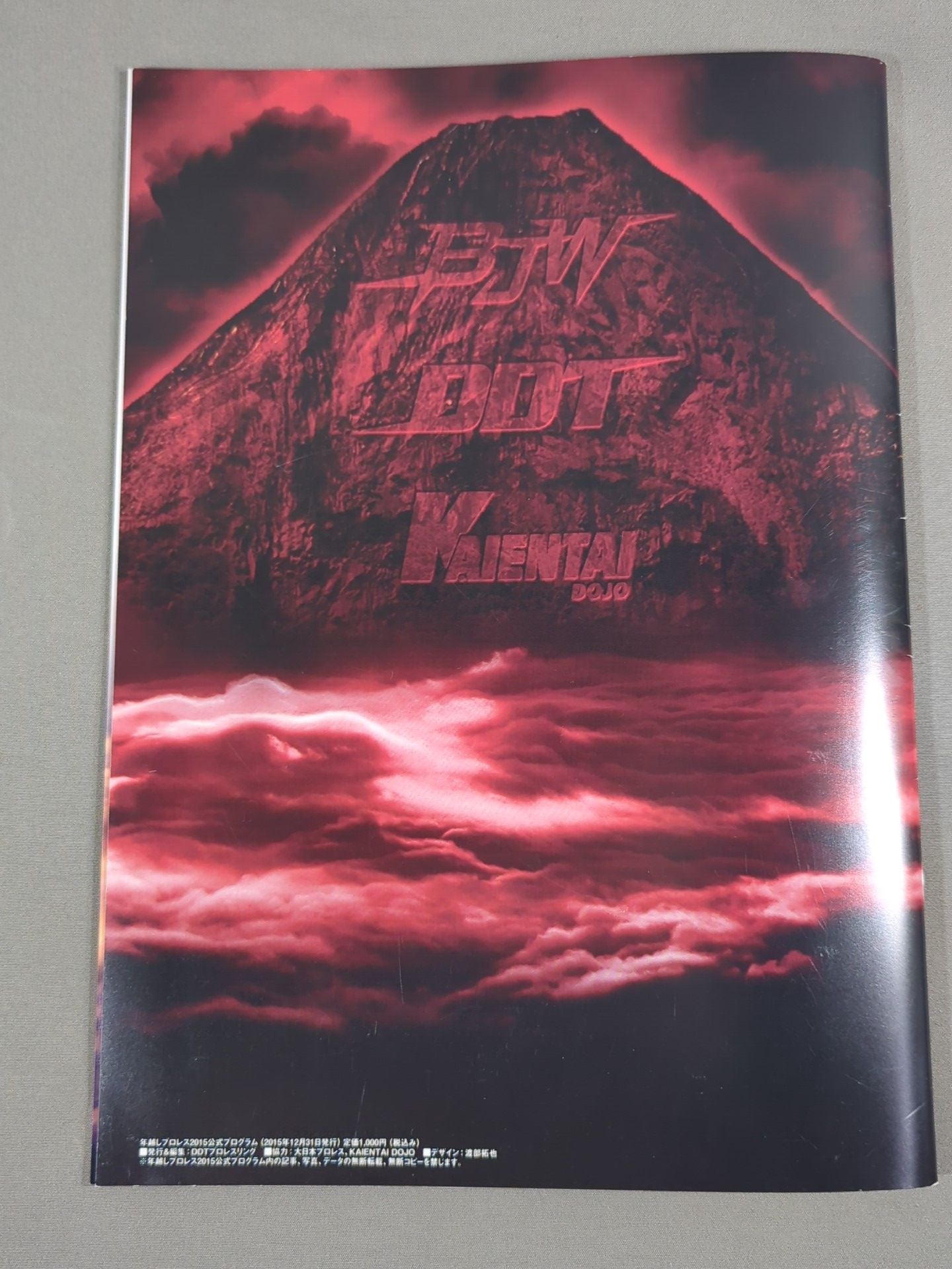 New Year's Eve Pro Wrestling 2015Promotion Shuffle Tag Team Tournament