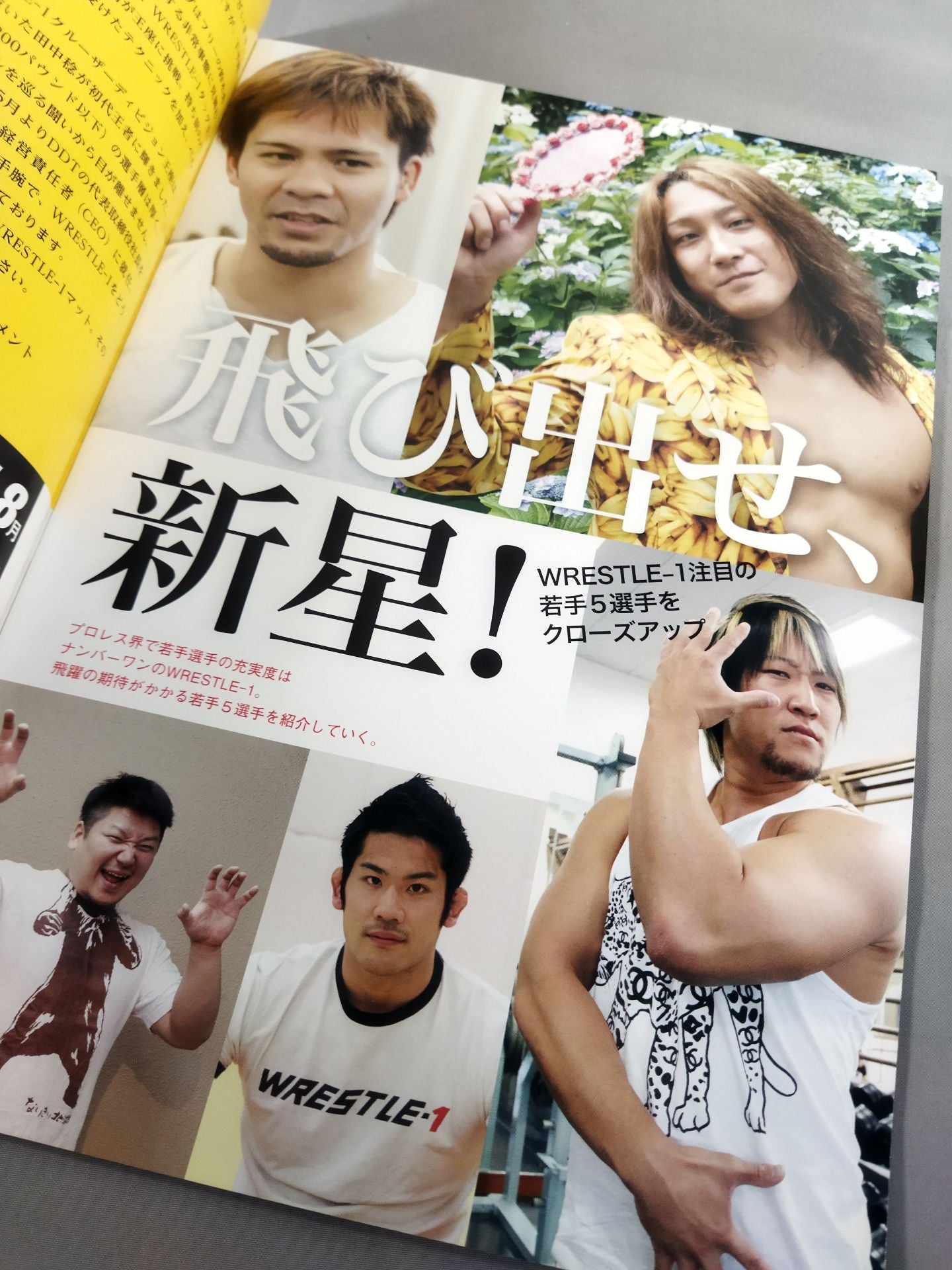 WRESTLE-1 OFFICIAL GUIDE BOOK 2015 No.3