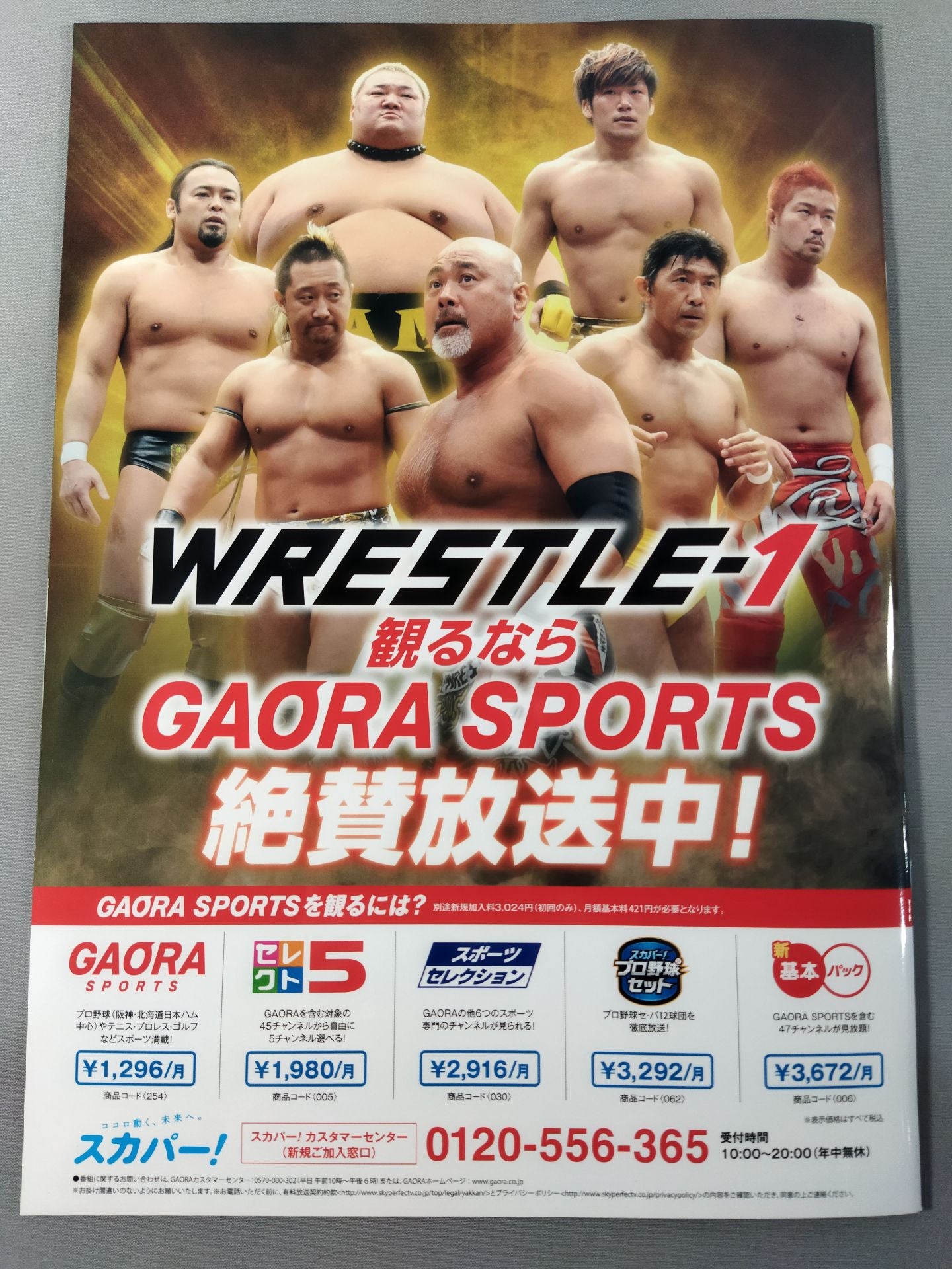 WRESTLE-1 OFFICIAL GUIDE BOOK 2015 No.3