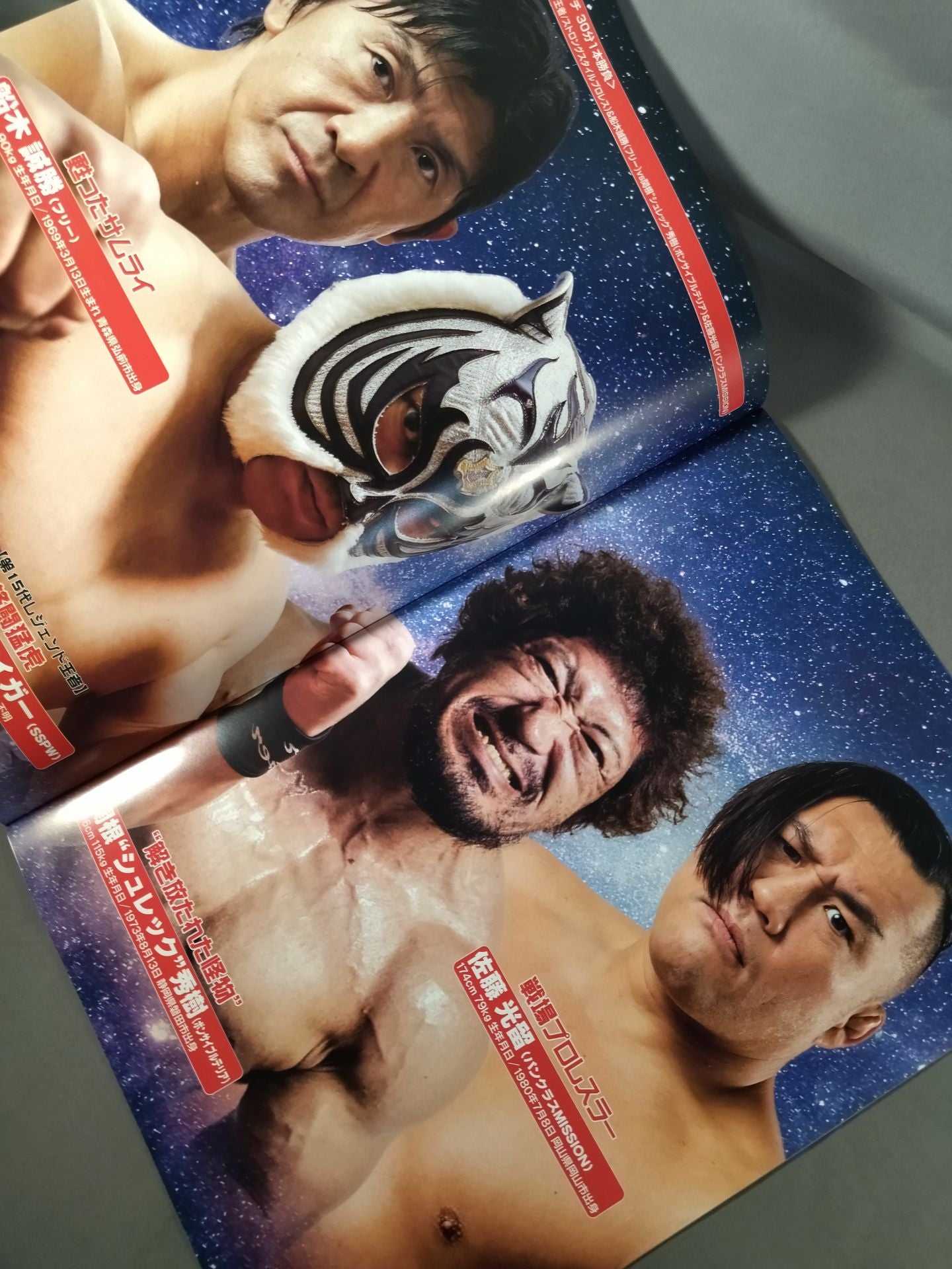 Strong Style Pro Wrestling Vol.15 / "Furious Monster" Strong Kobayashi Memorial Box Office
