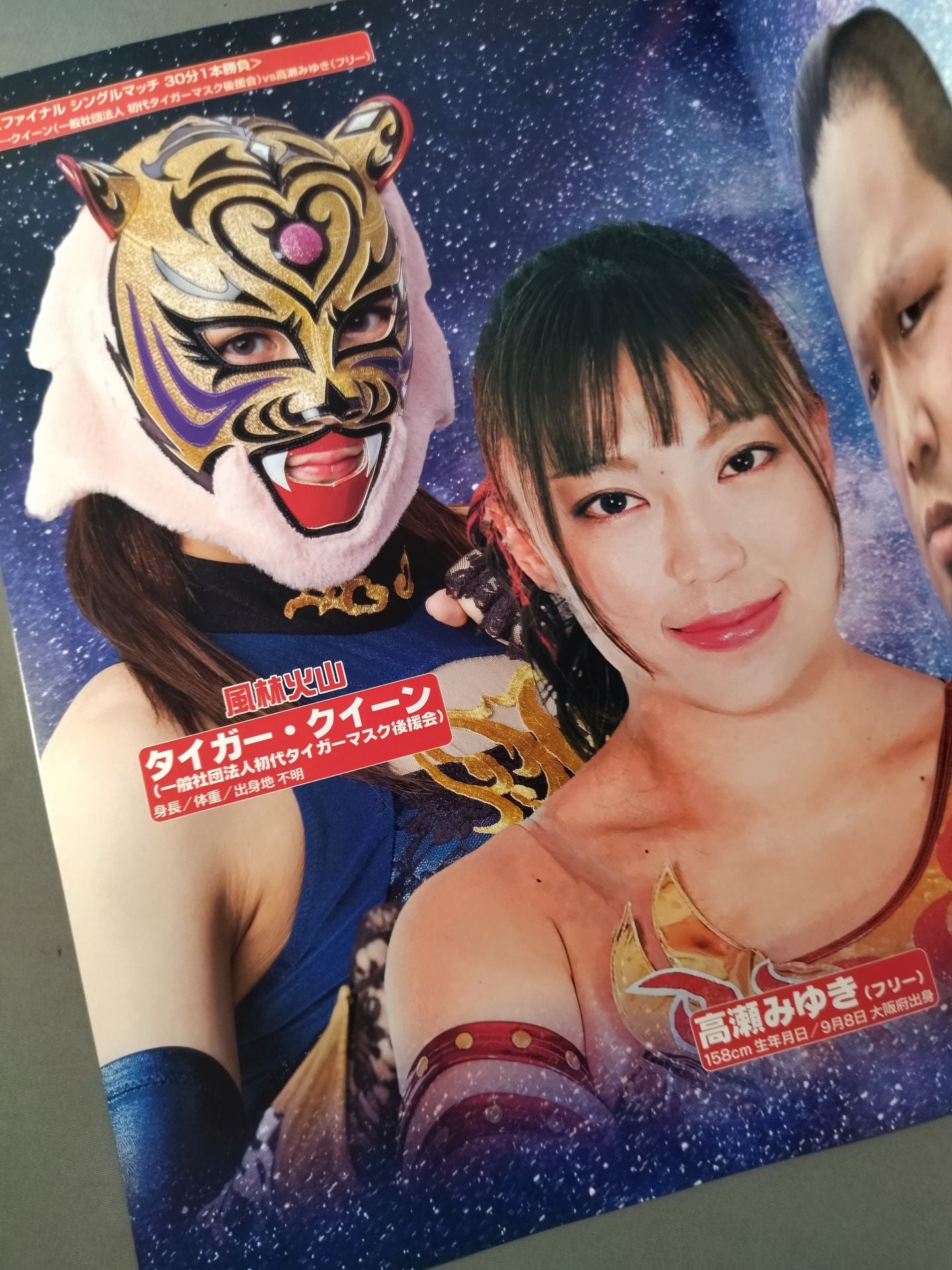 Strong Style Pro Wrestling Vol.15 / "Furious Monster" Strong Kobayashi Memorial Box Office