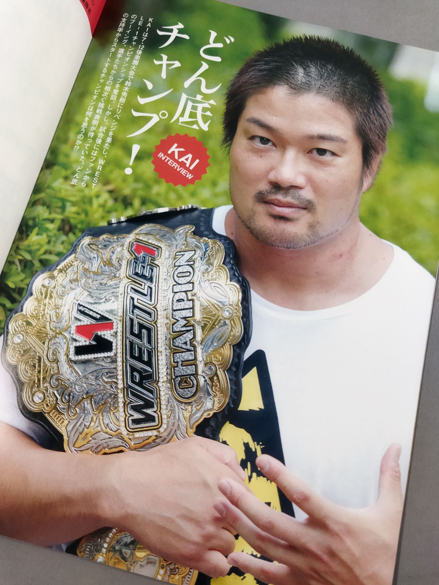 ★ Grand Prix Final ★ WRESTLE-1 OFFICIAL GUIDE BOOK 2015 No.4
