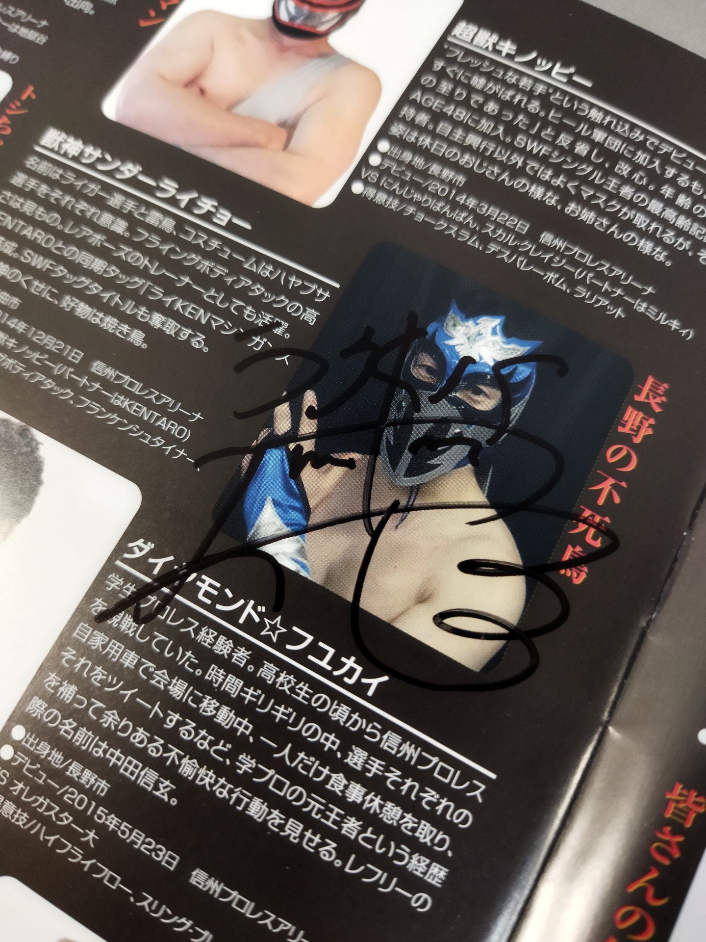 【3選手直筆サイン入り】SWF 信州プロレス10周年記念シリーズ