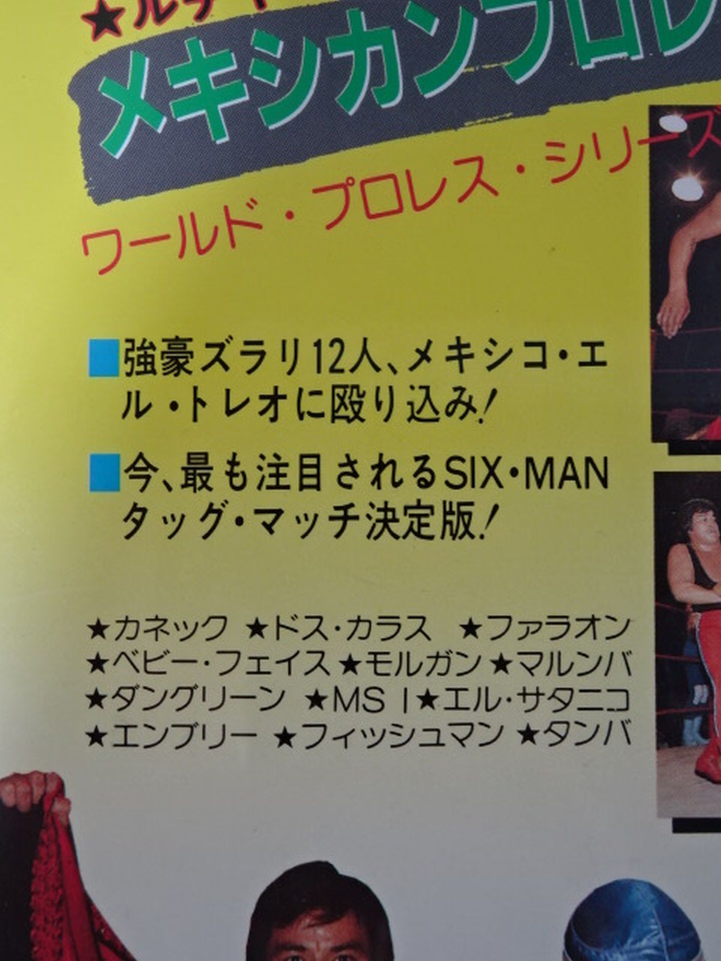ルチャ・リブレ メキシカンプロレス
