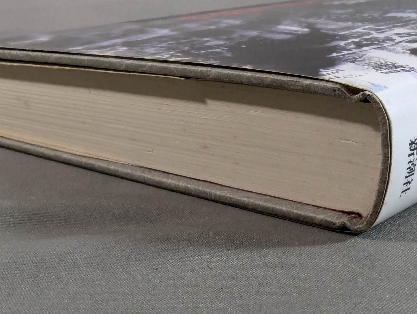 Murderous intent running in the ring