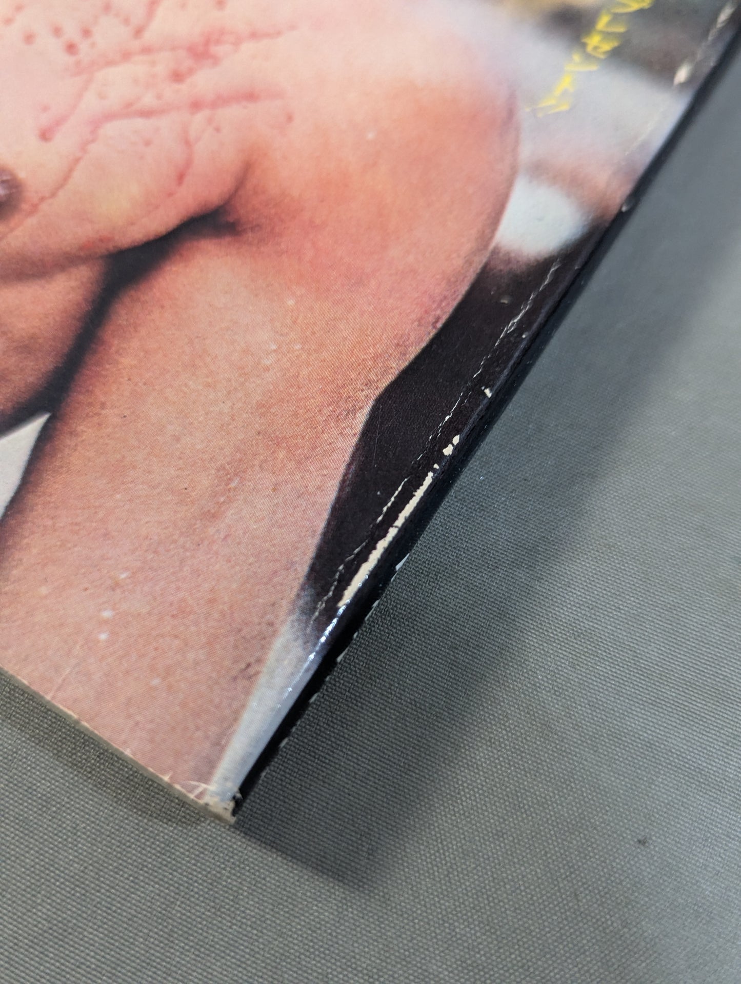 Definitive Edition Bruce Lee Young Idol Now Special Extra Issue