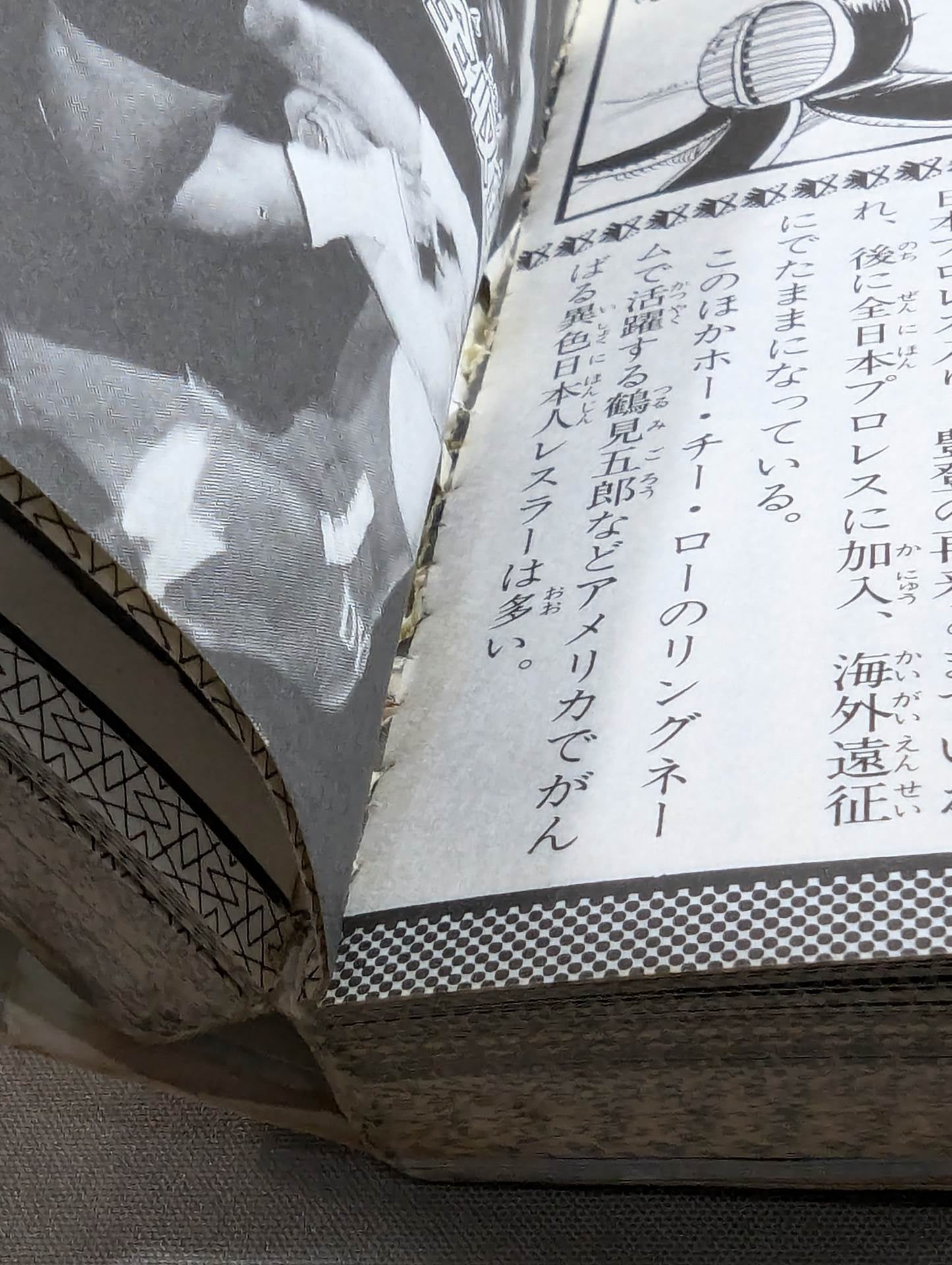 Pro Wrestling Encyclopedia Part.3 / Pro Wrestling The broadcast will become more and more fun!