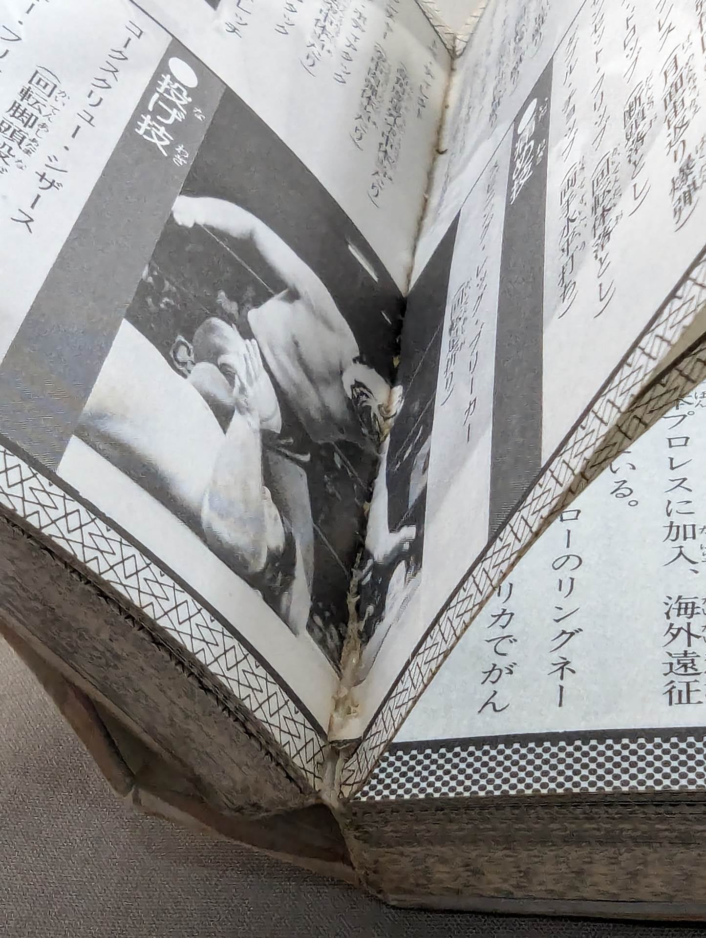 Pro Wrestling Encyclopedia Part.3 / Pro Wrestling The broadcast will become more and more fun!