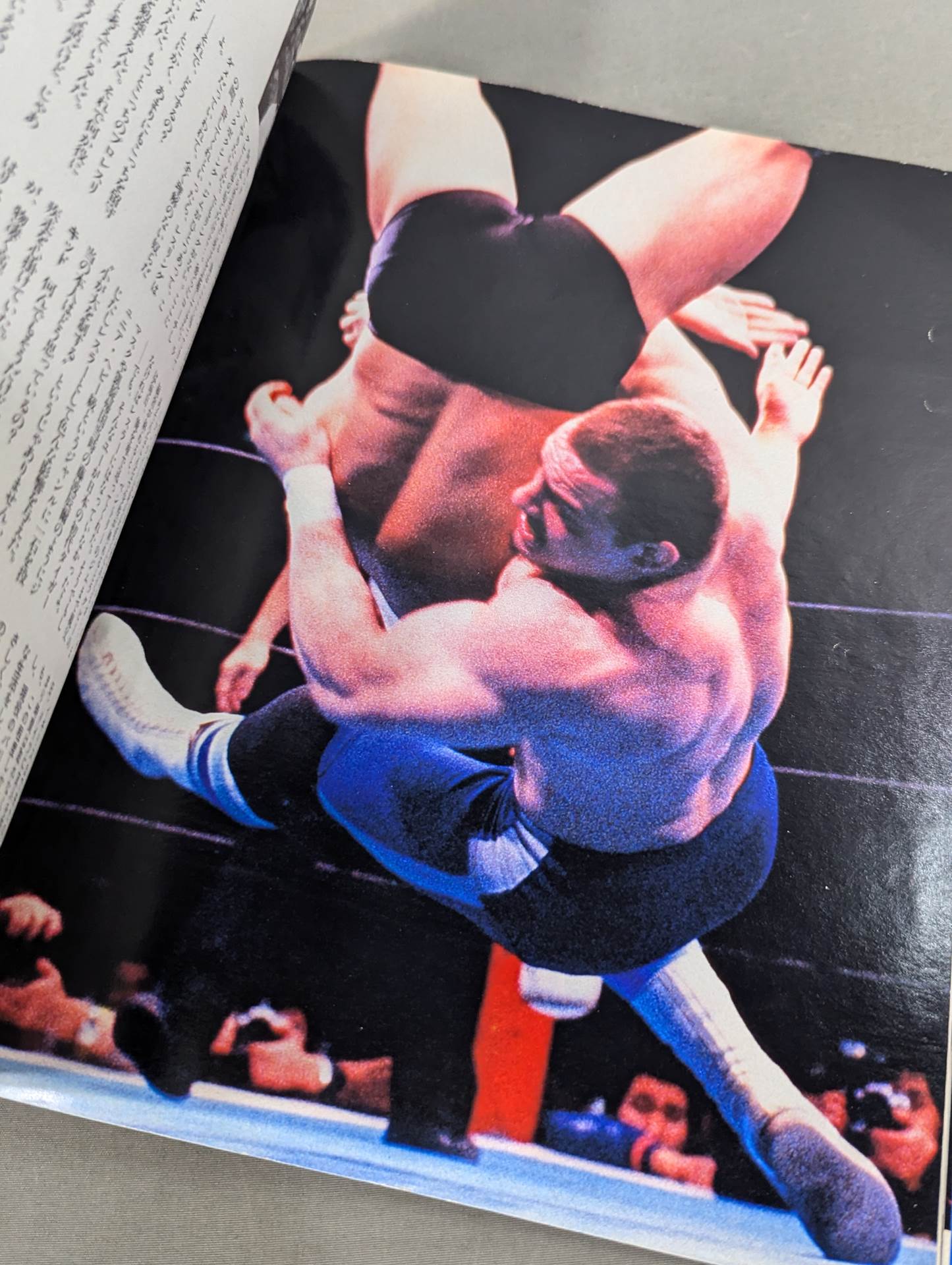 ラジカルプロレス新時代マガジンVol.1 超プロレス