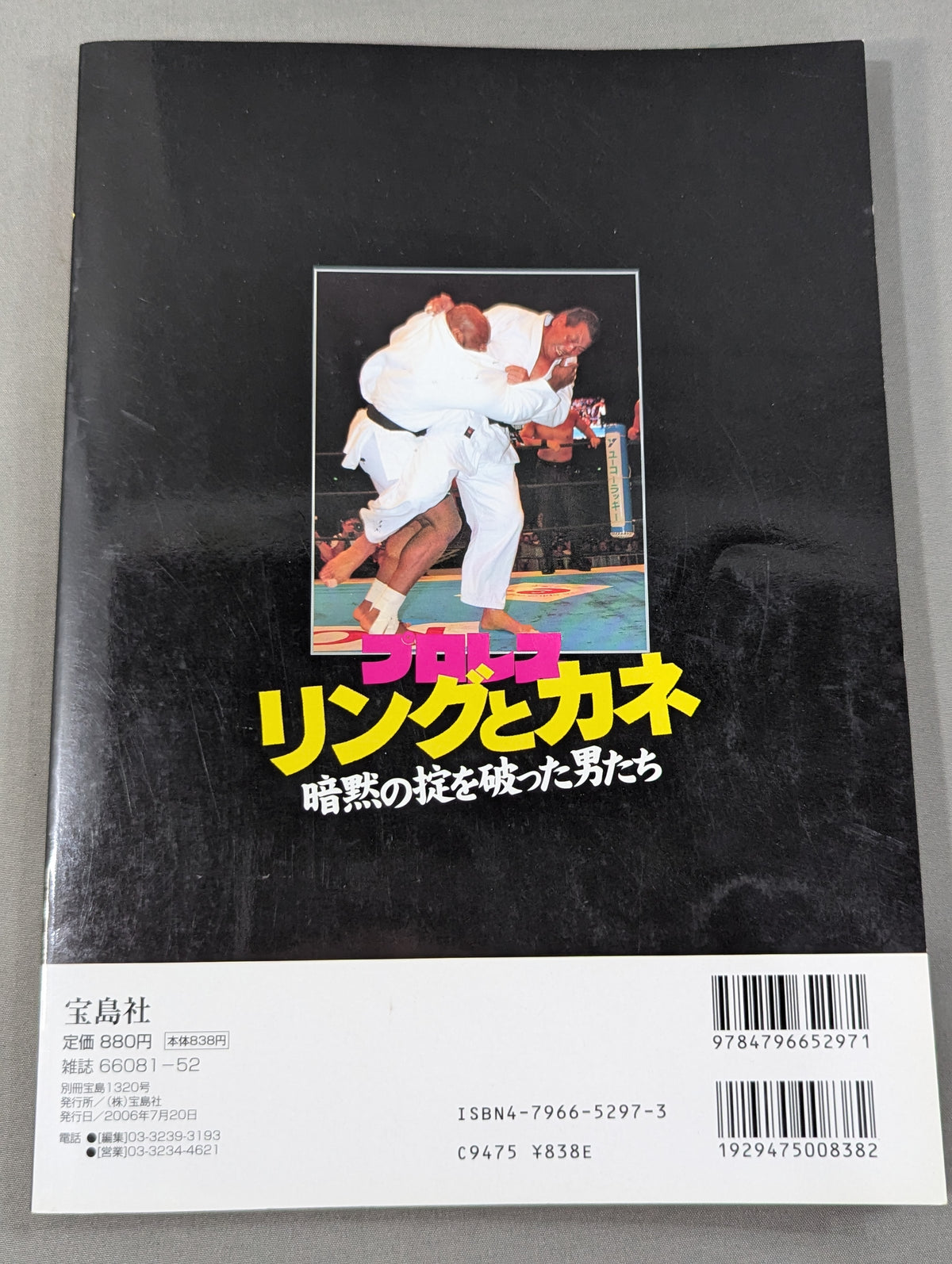 Separate volume Takarashima 1320 Pro Wrestling "Rings and money" Men who broke the unspoken law