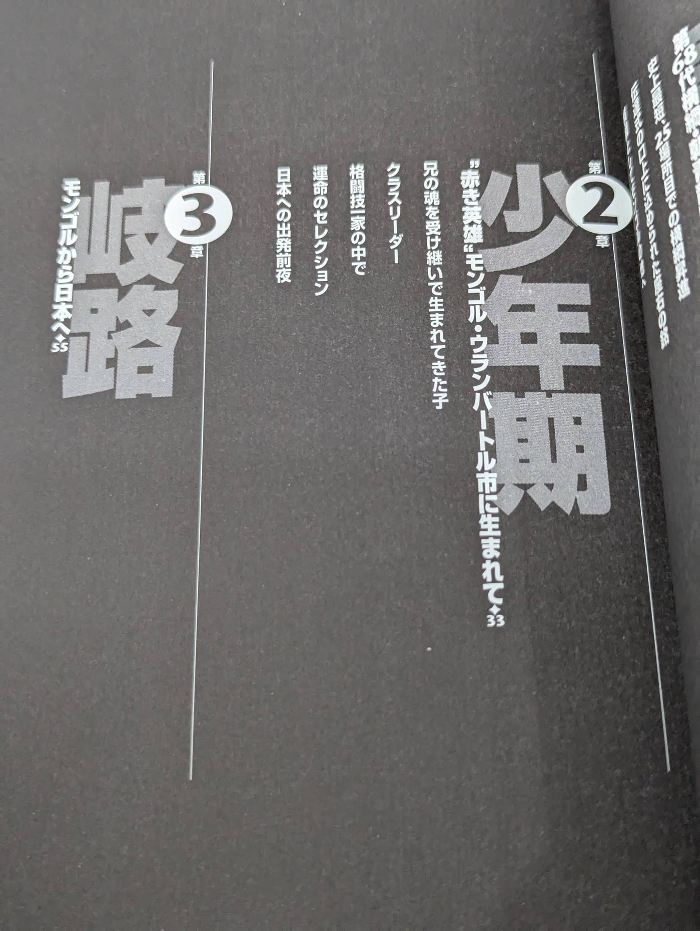The true face of Dorji Yokozuna Asashoryu