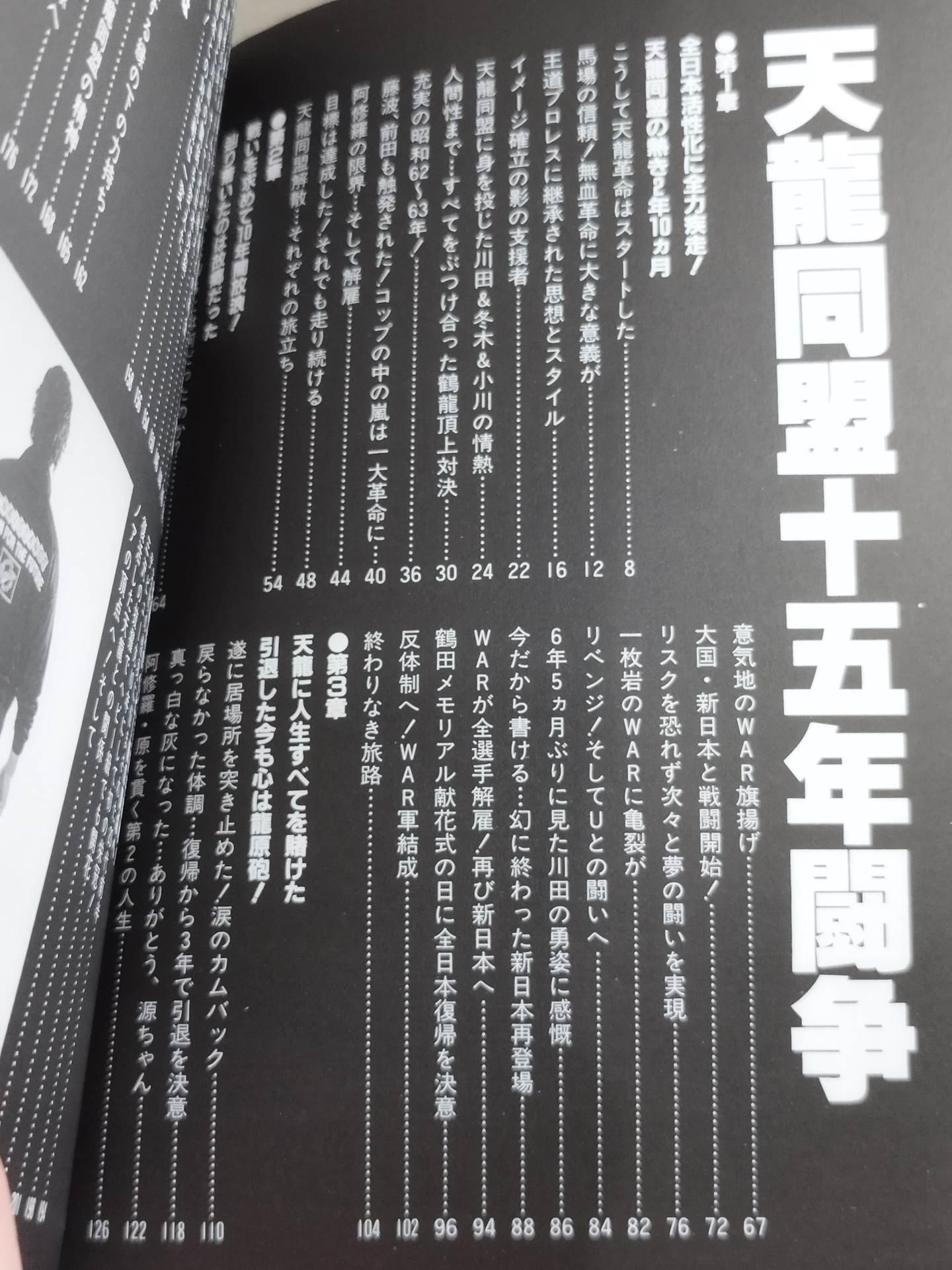 天龍同盟 十五年闘争