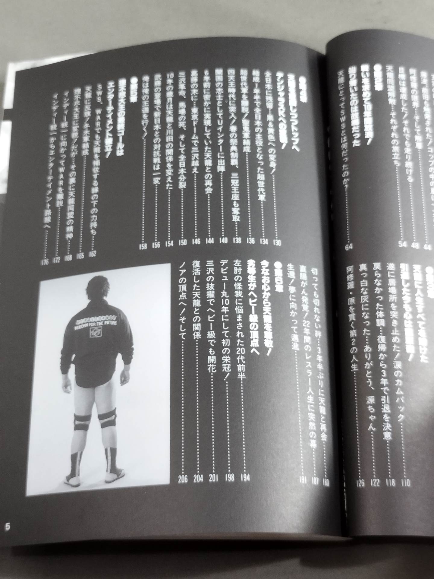 天龍同盟 十五年闘争