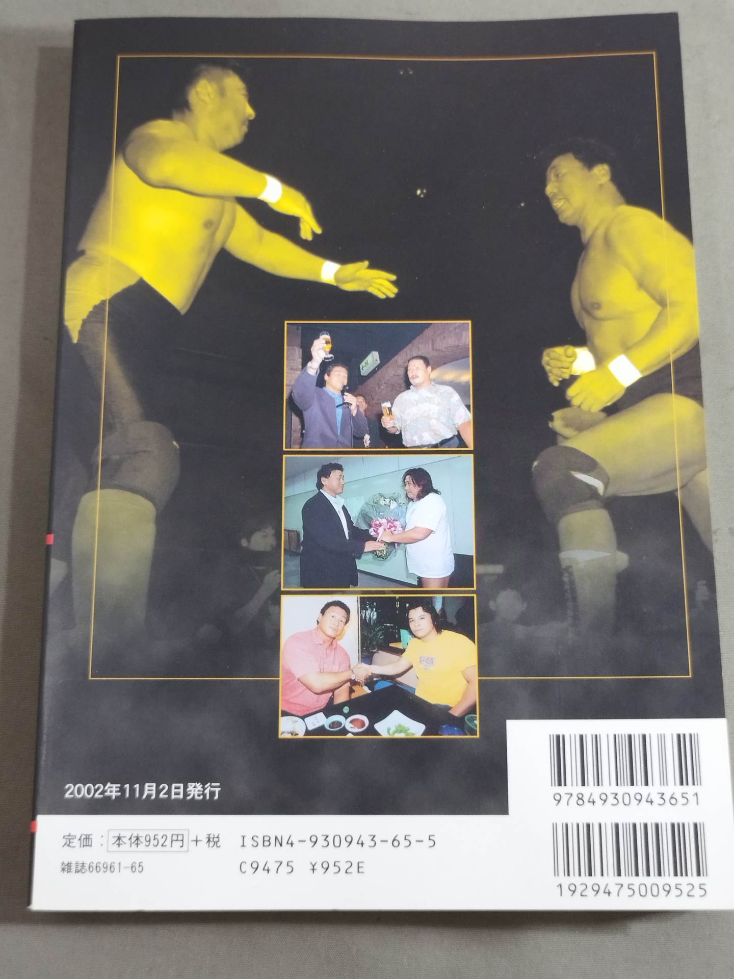 天龍同盟 十五年闘争