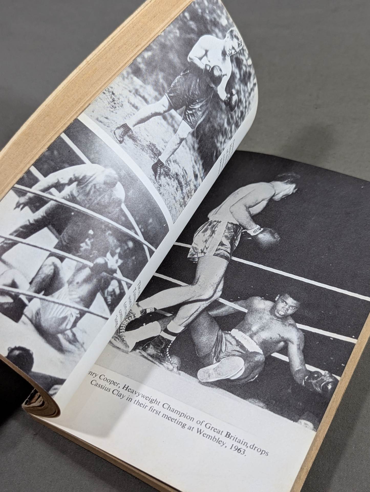 A Century of Great Boxing Drama
