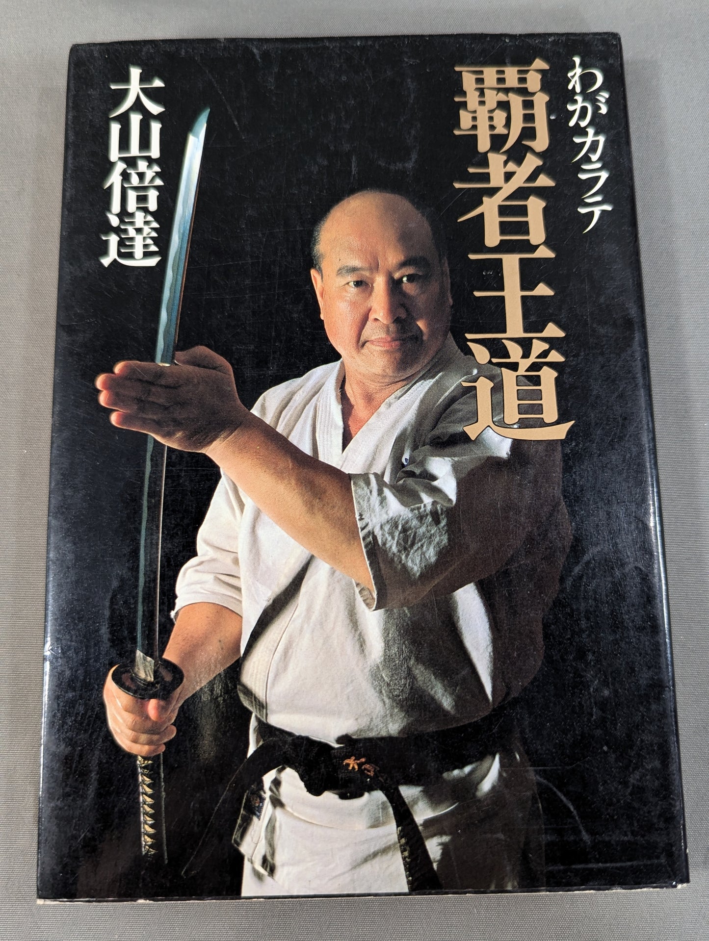 My KARATE Conqueror Royal Road