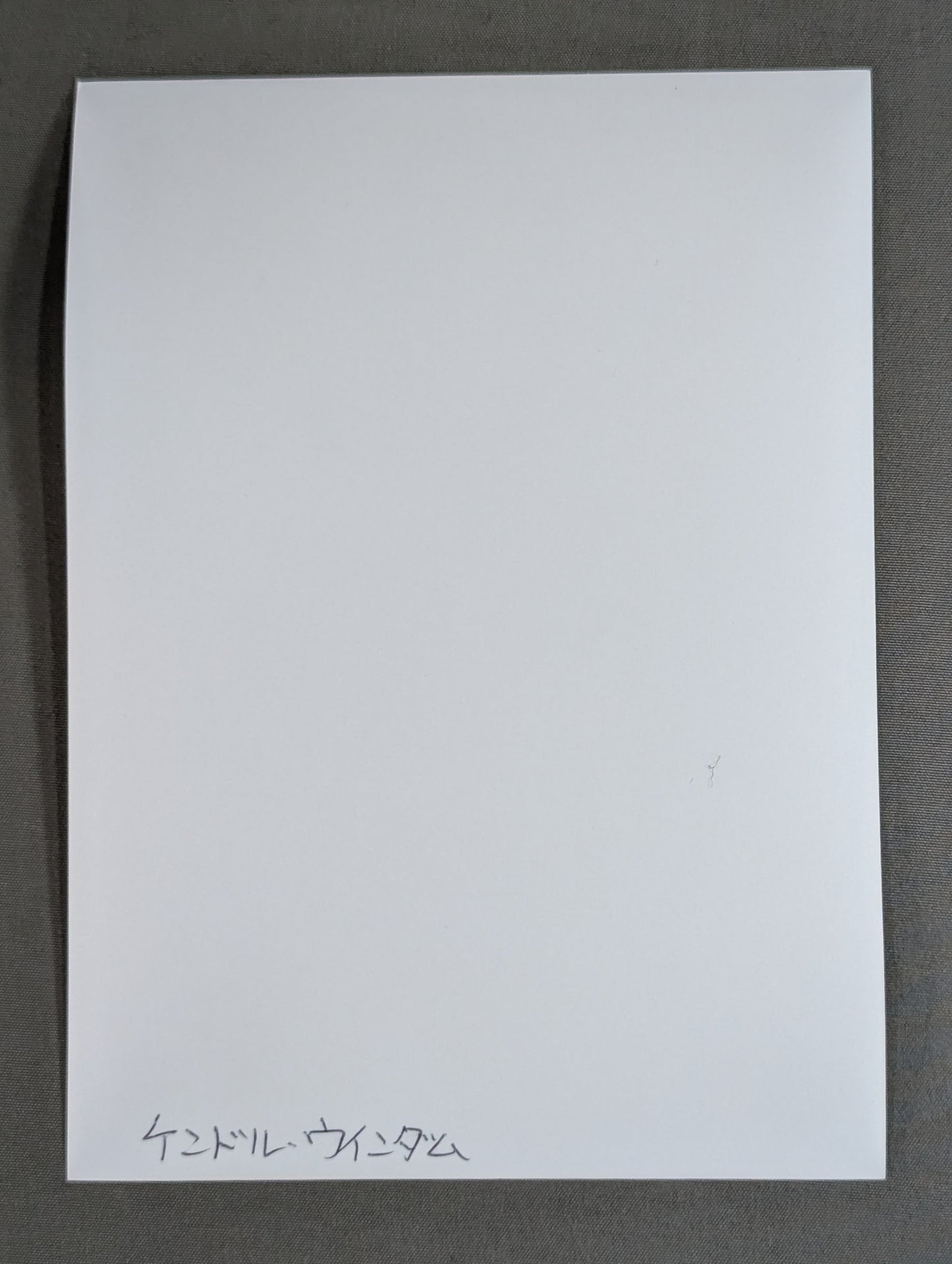 Kendall Wyndham Black and White photo (1)