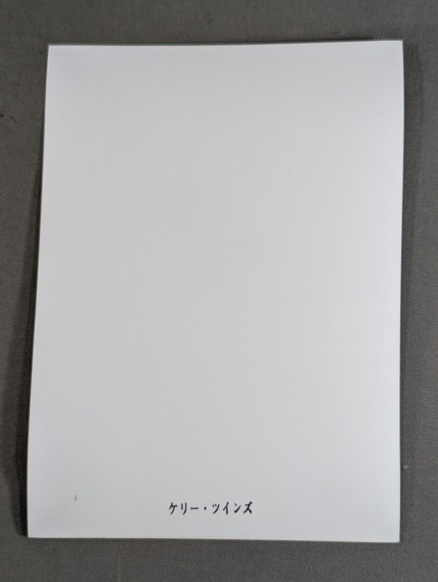 Kelly Twins (Pat Kelly & Mike Kelly) Black and White Photo (1)