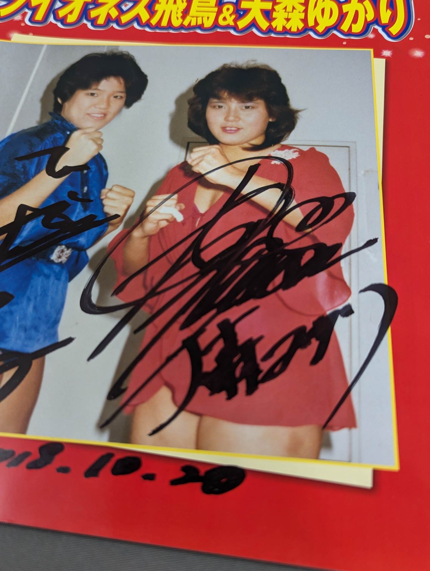 Legend★SuperStar 飛翔 ライオネス飛鳥&大森ゆかり写真集