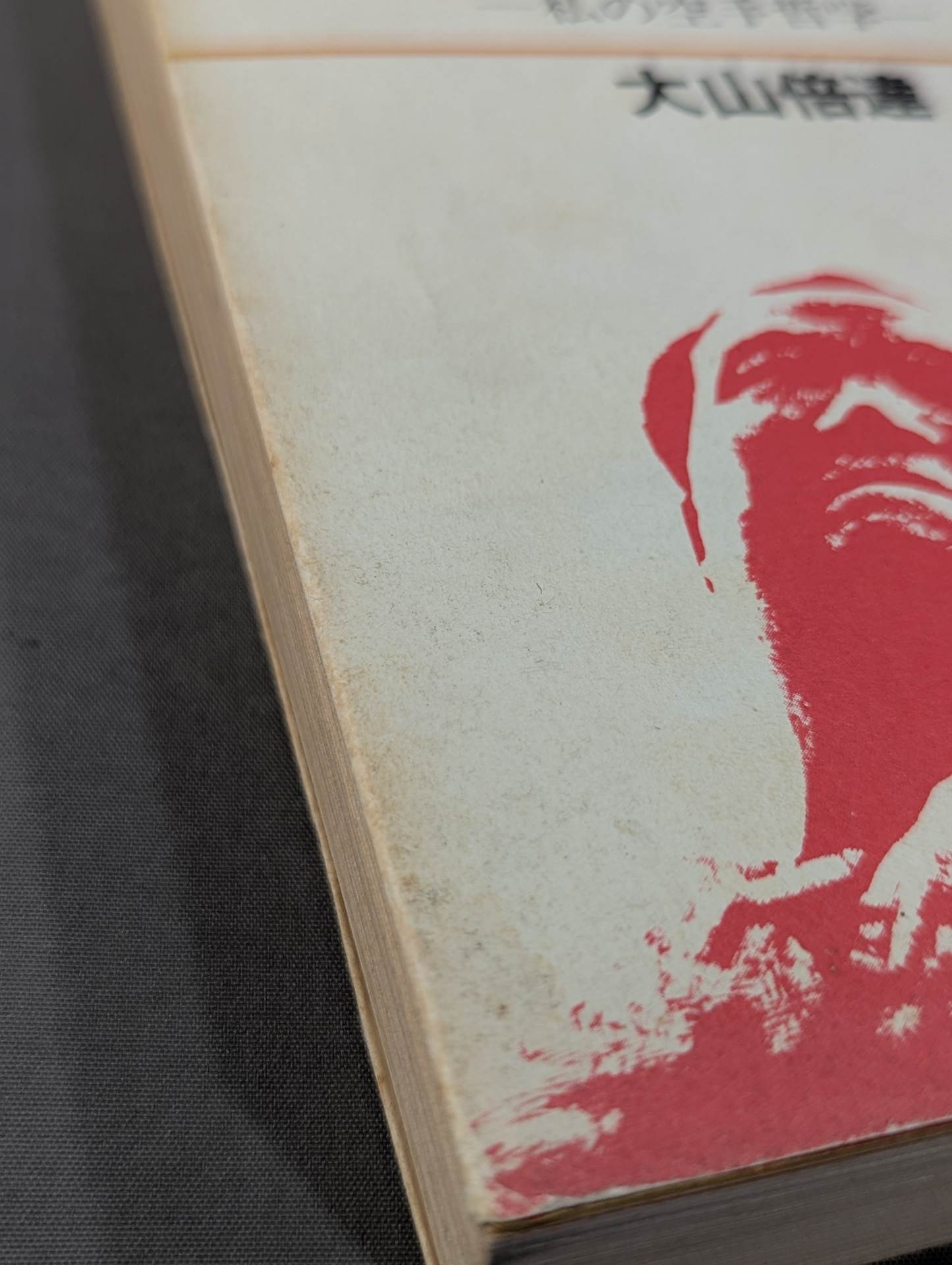 The Road to Kyokushin My KARATE Philosophy