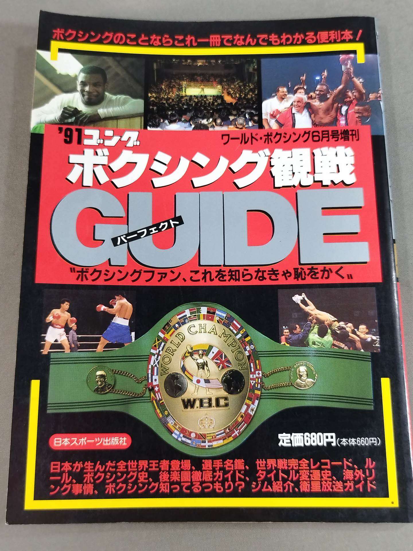 91 Gong Boxing Perfect Guide