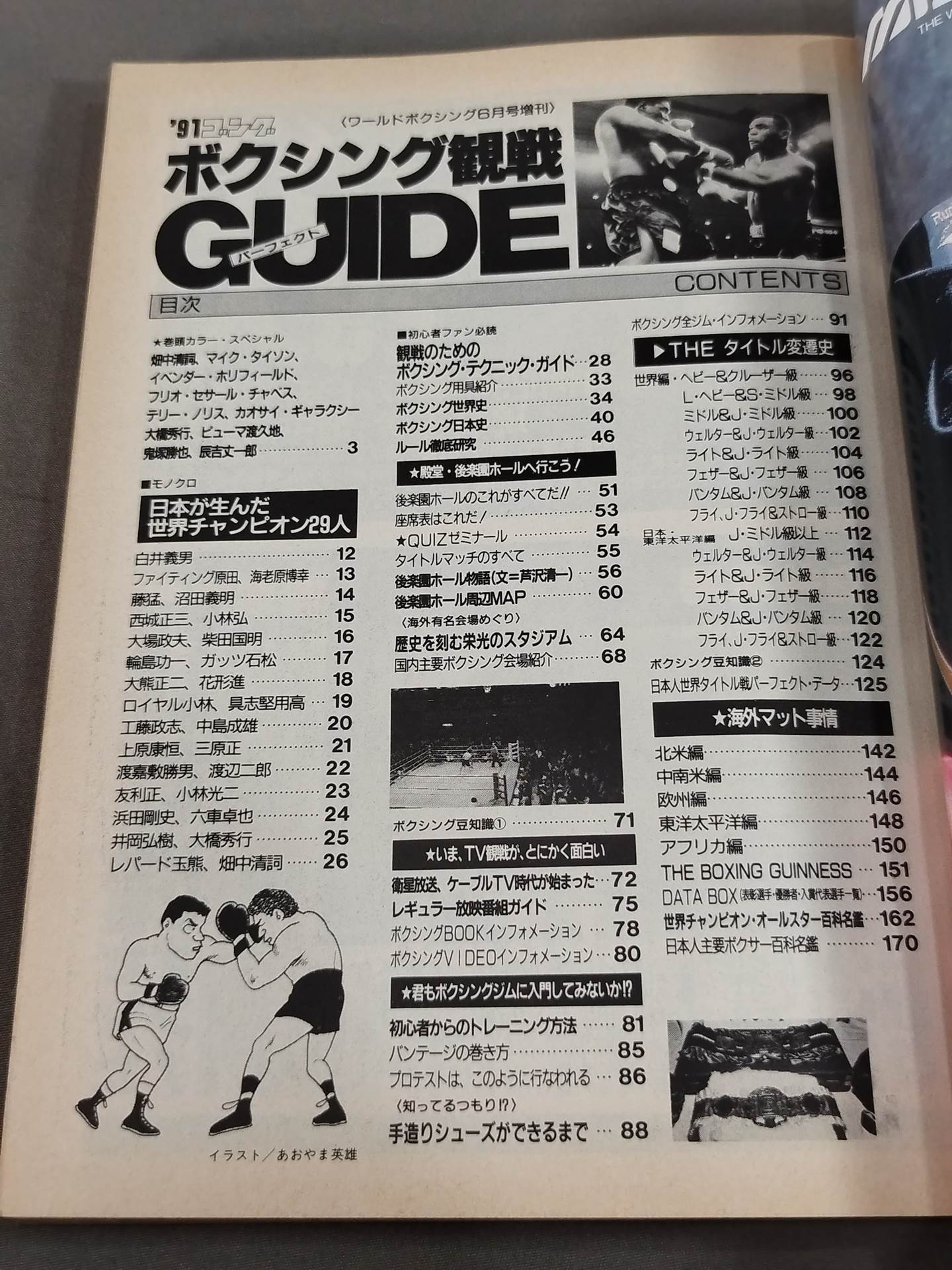 91 Gong Boxing Perfect Guide