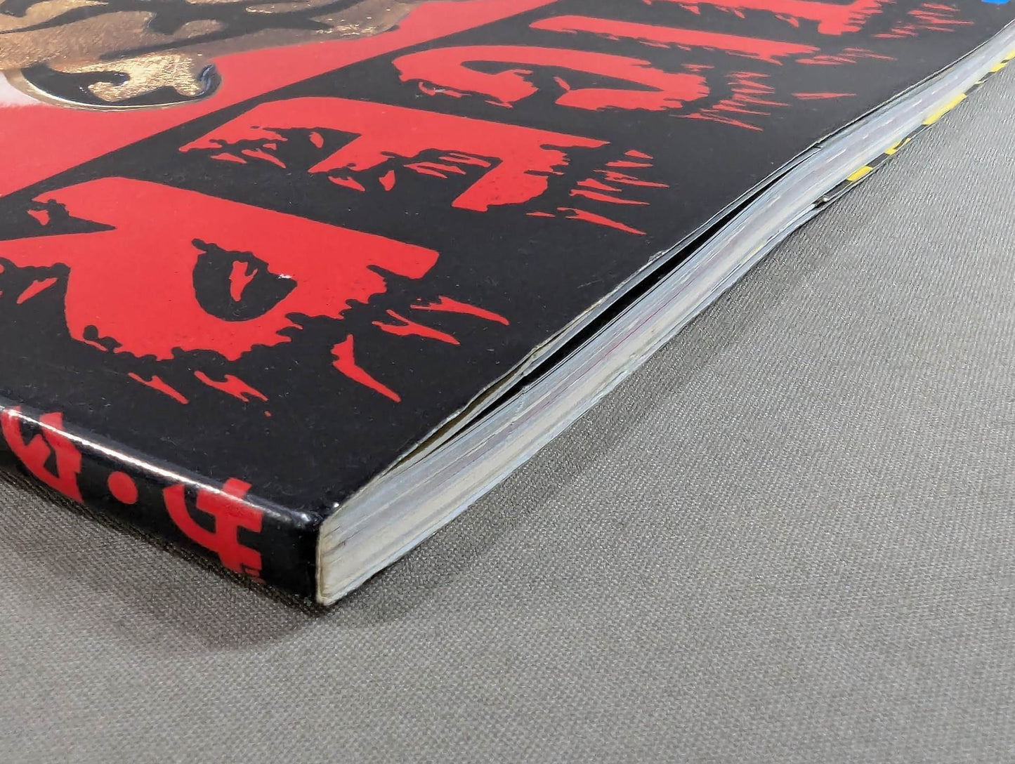 THE TIGER ザ・タイガーの格闘技道場