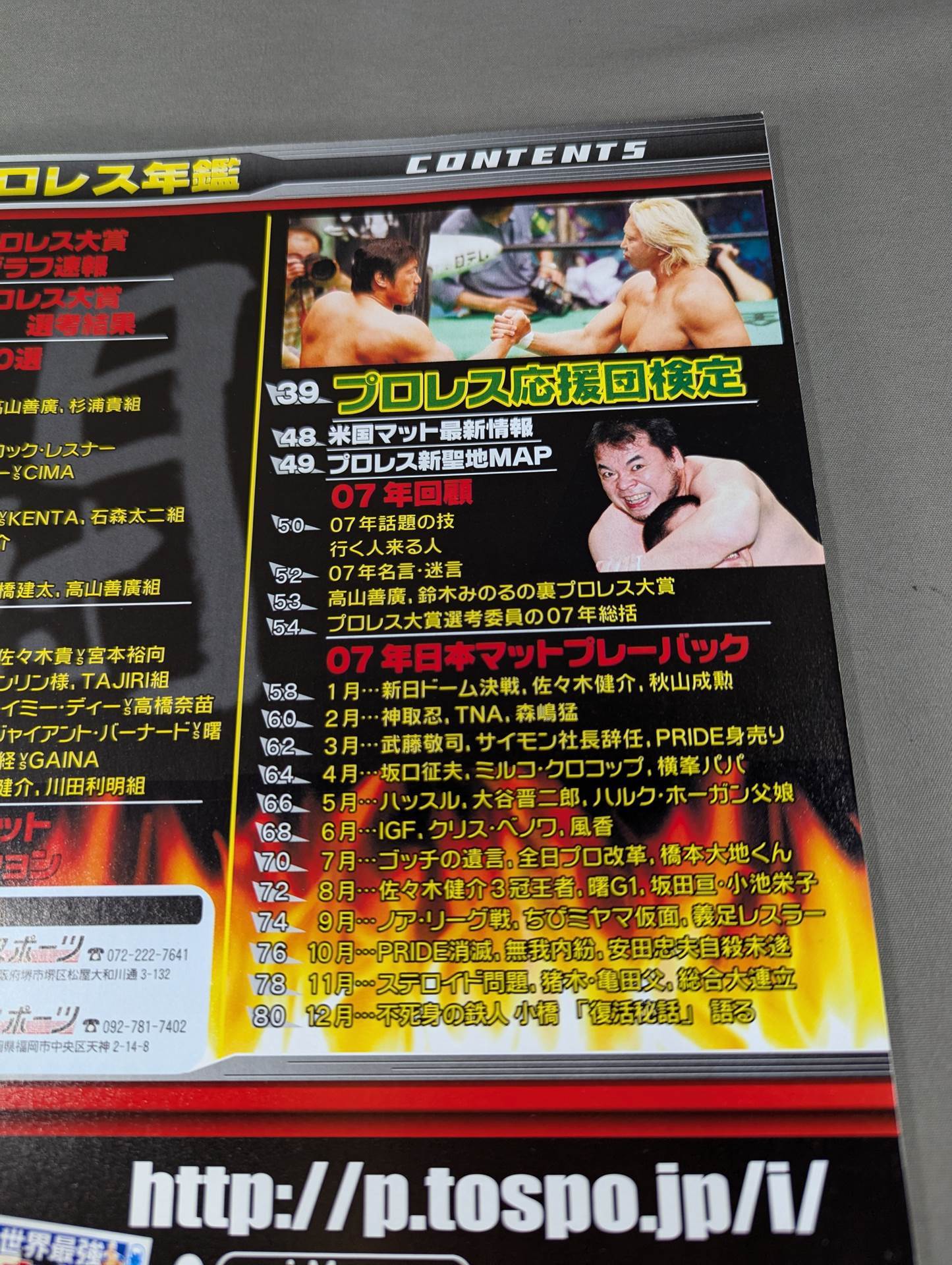Tospo Permanent Preservation Edition '07 Pro Wrestling Yearbook
