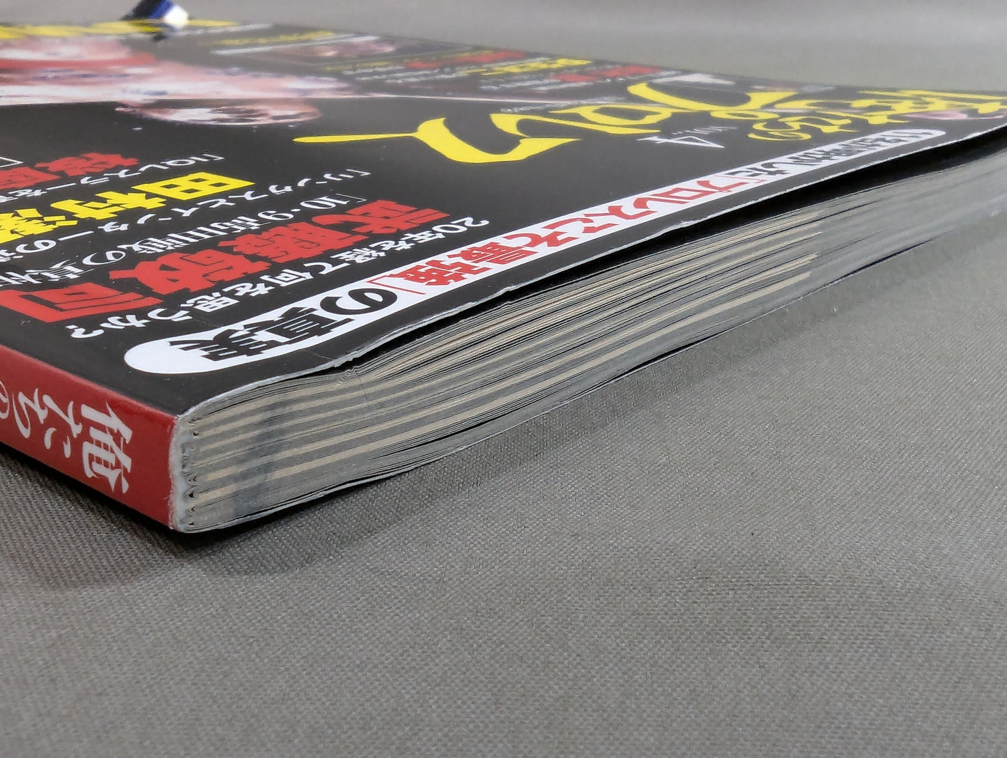俺たちのプロレス VOL.4 UWFインターナショナル