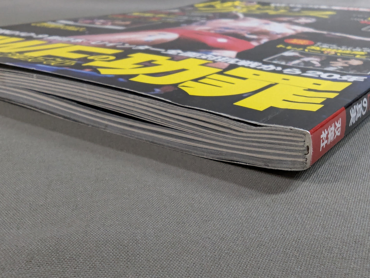 俺たちのプロレス VOL.4 UWFインターナショナル