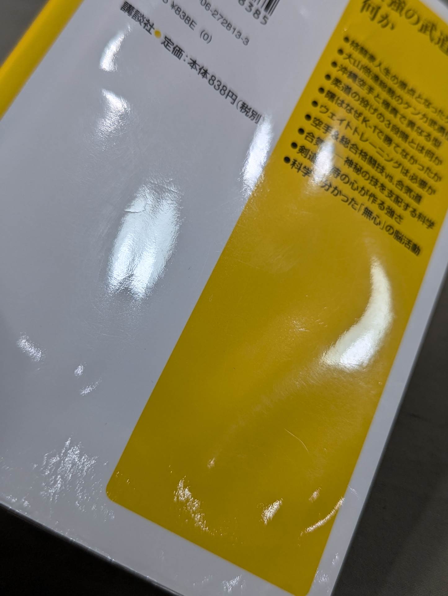 最強の武道とは何か