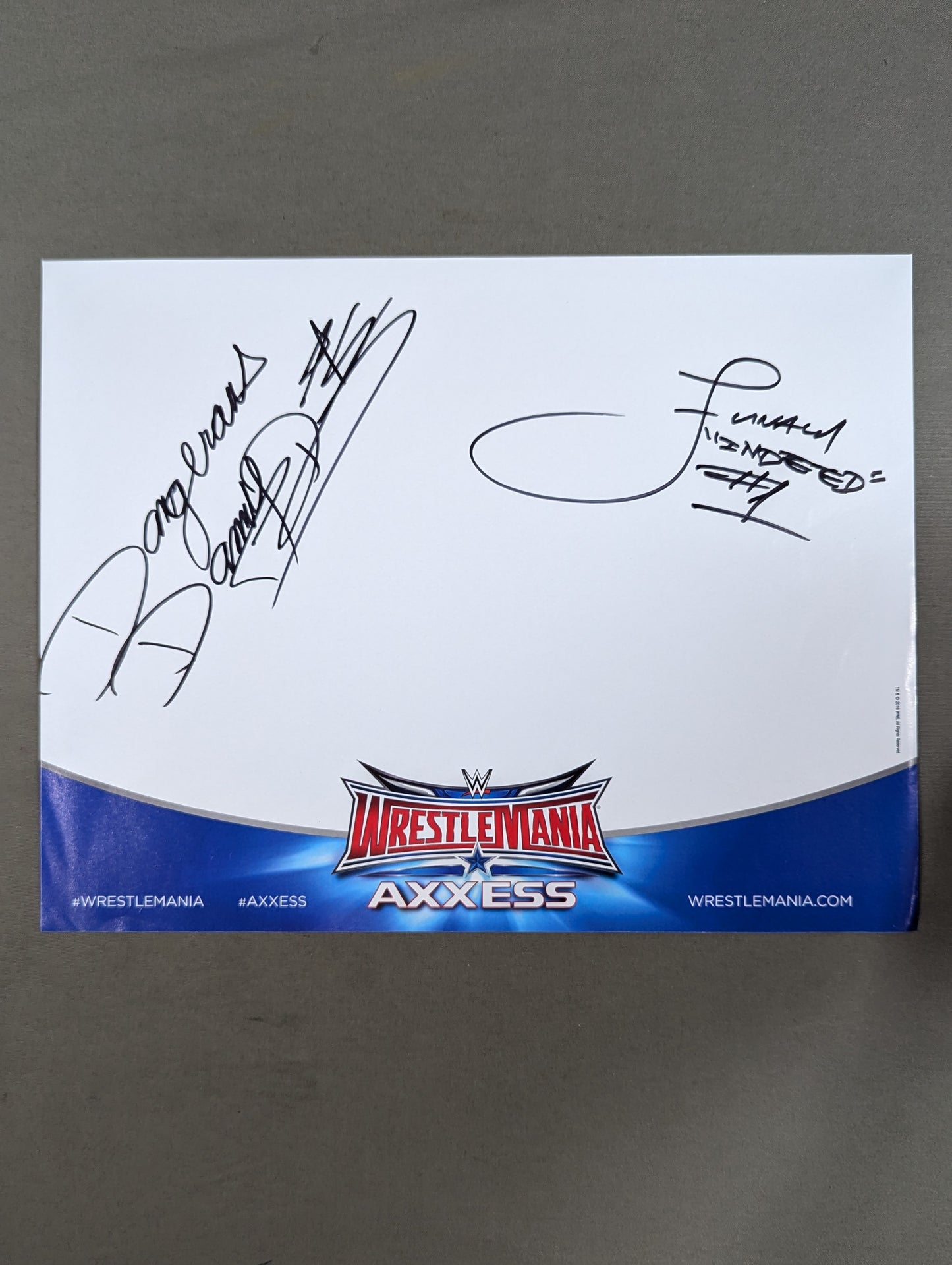 Danny Davis & Shaw Funaki (WWE Paper)