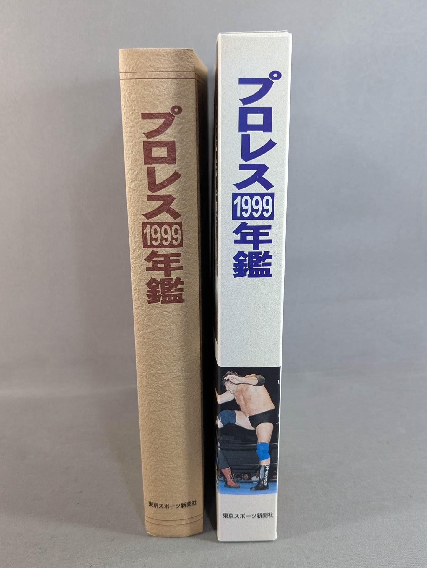 Pro Wrestling 1999 Yearbook