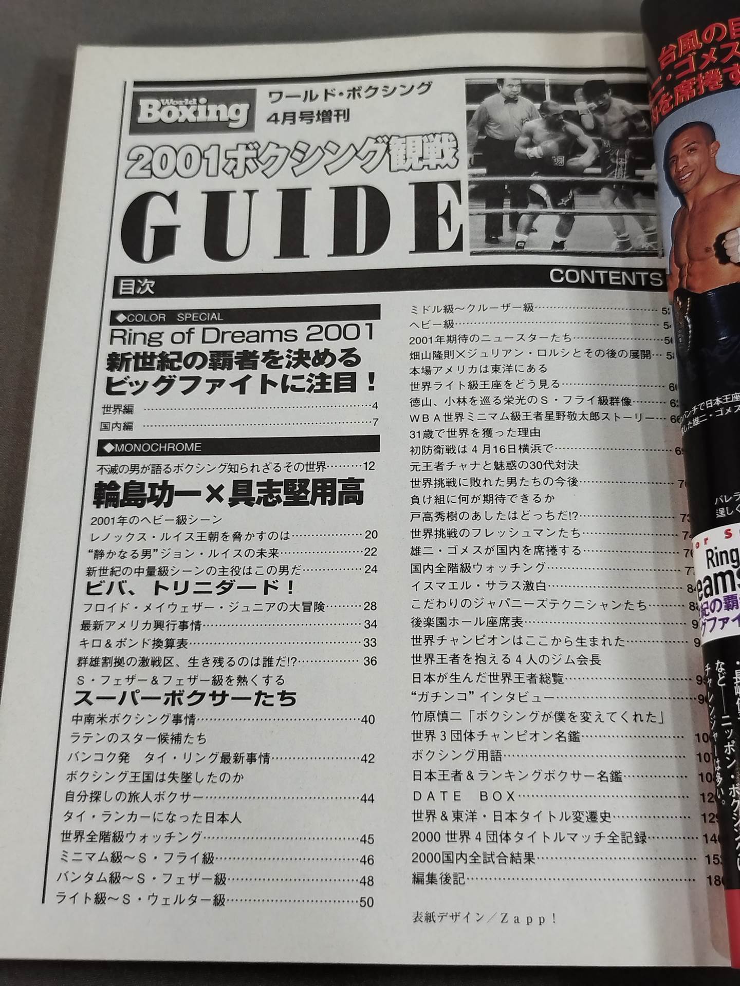 2001 Boxing Perfect Guide