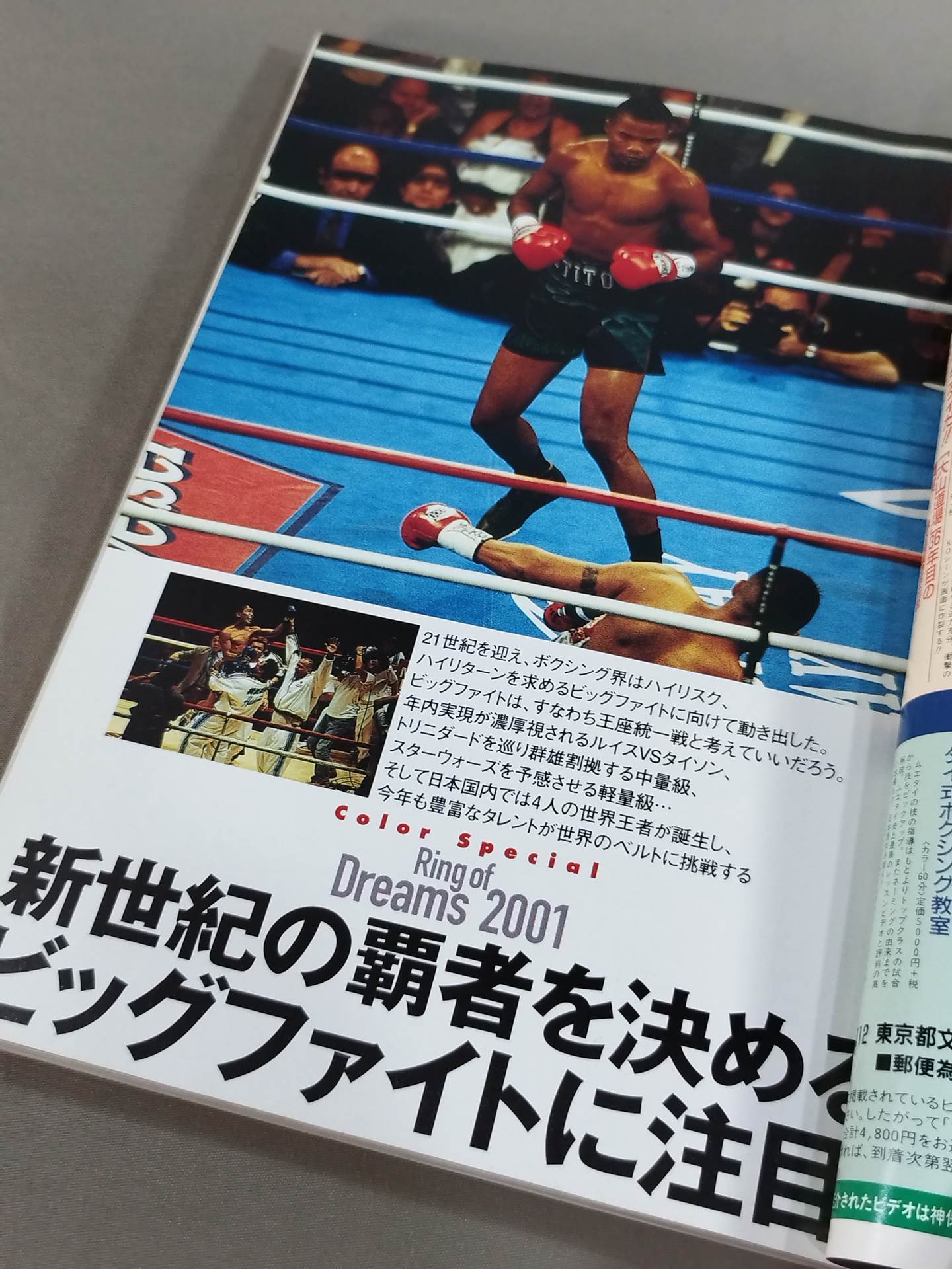 2001 Boxing Perfect Guide